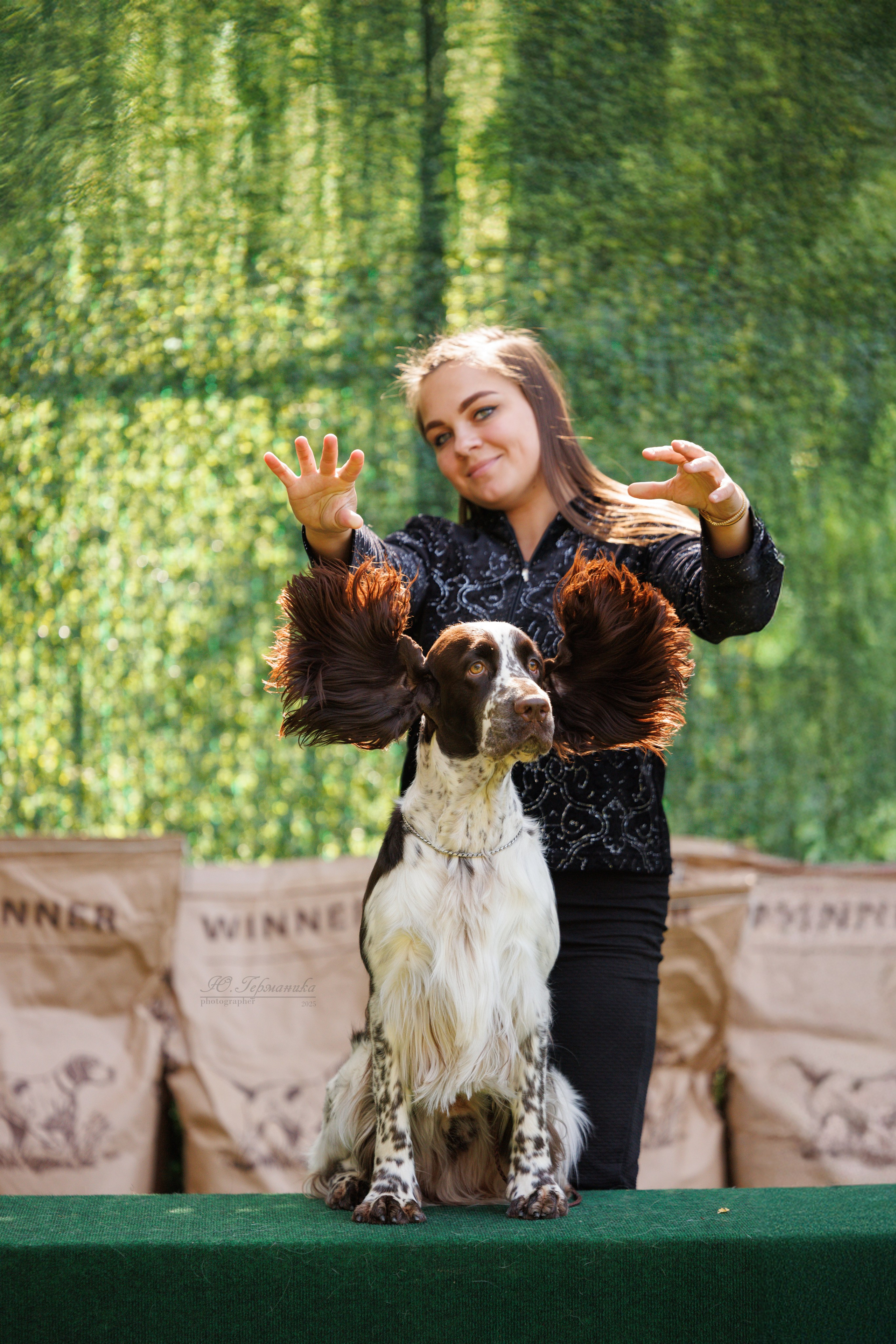 Бишкек 3х CACIB 26-28.09.2025. Фотограф-анималист Юлия Германика