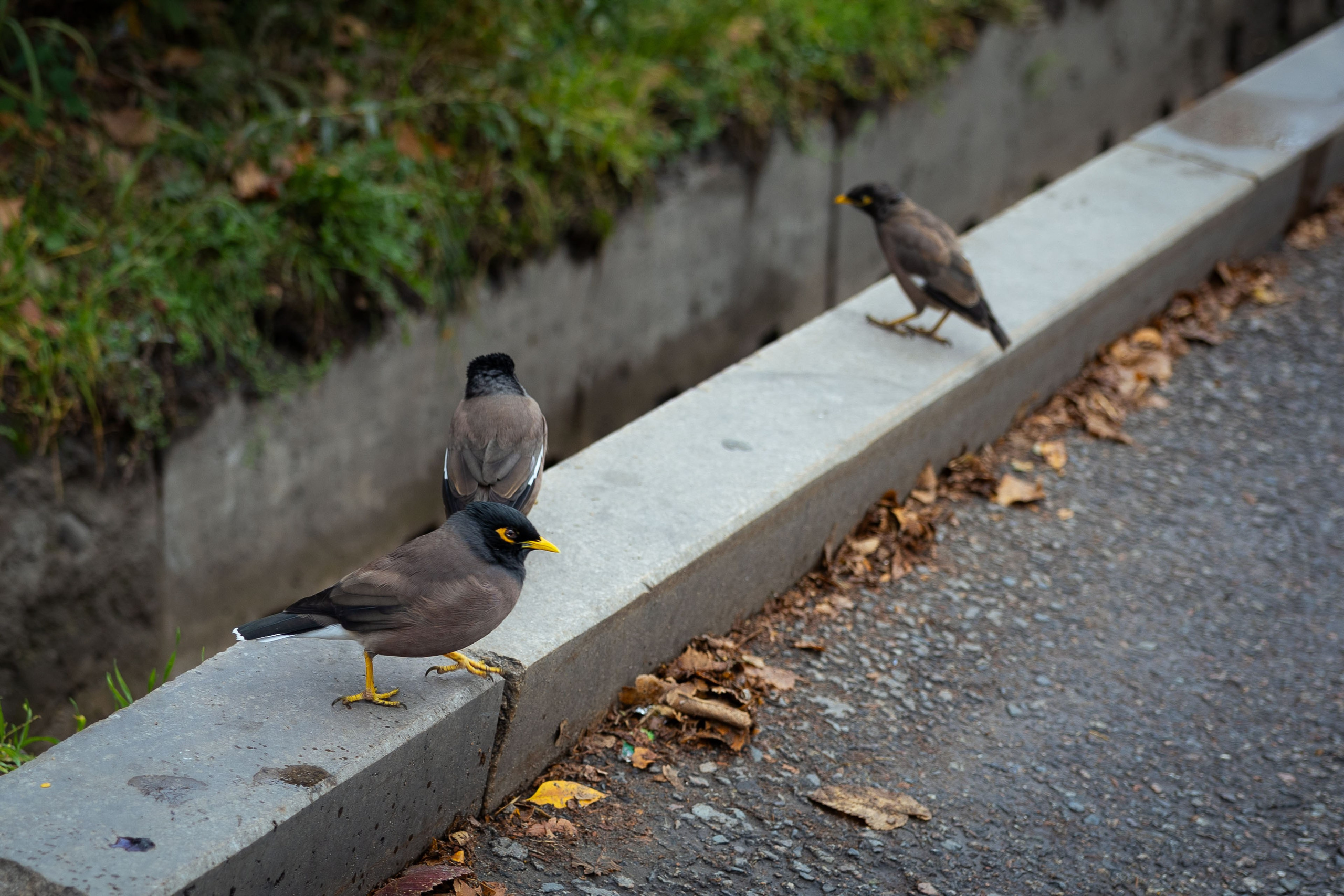Казахстан (осень 2024). Фотограф Виноградов Константин