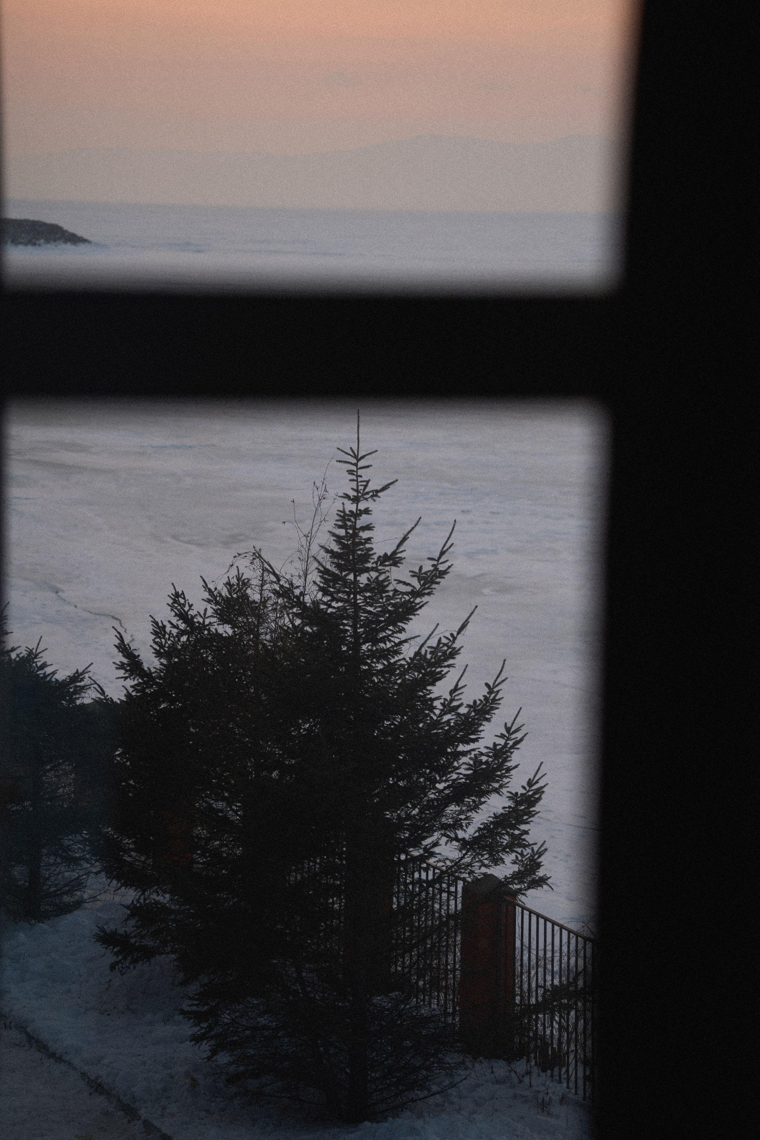 Никита и Марина. Фотограф из Владивостока Юлия Черепова