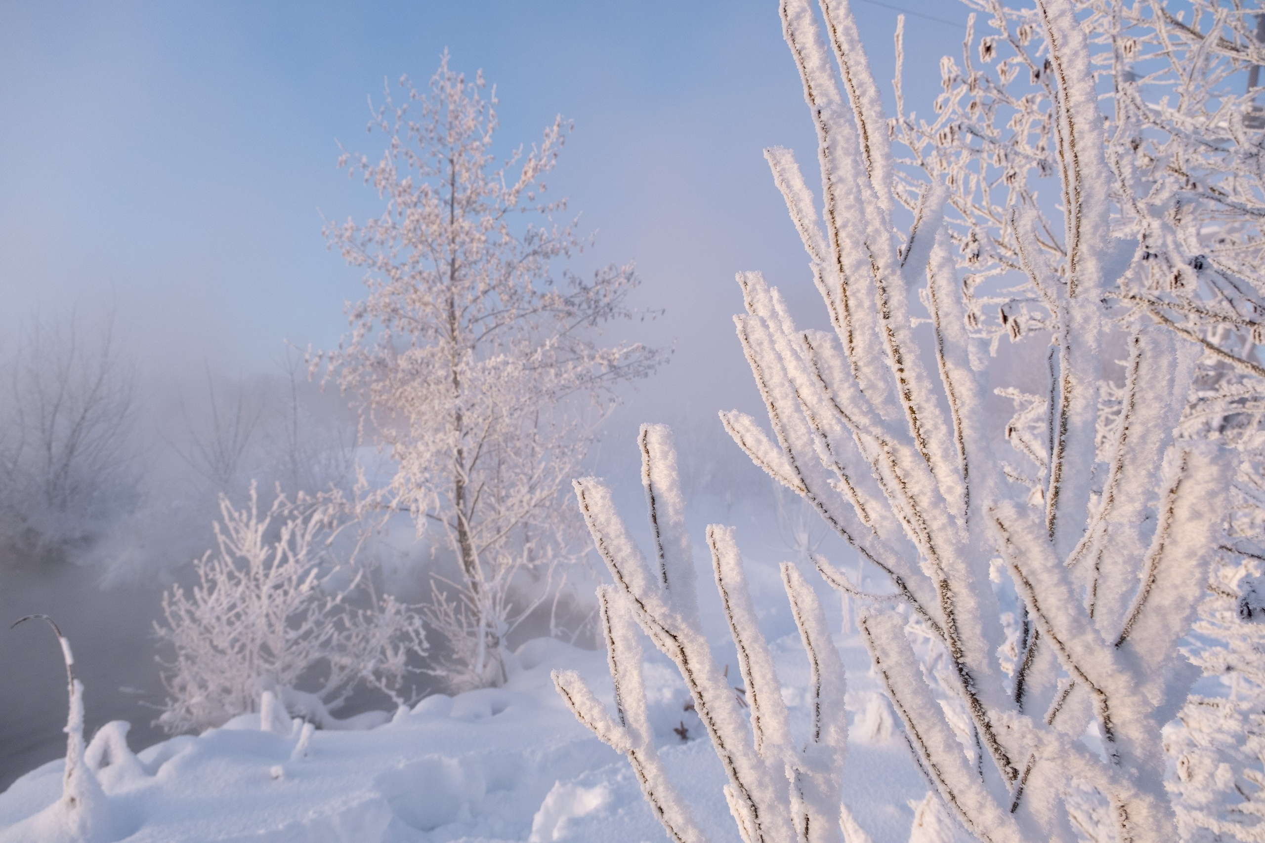 Озеро Горячка. Фотограф и видеооператор в Туле | Даниил Рыбак