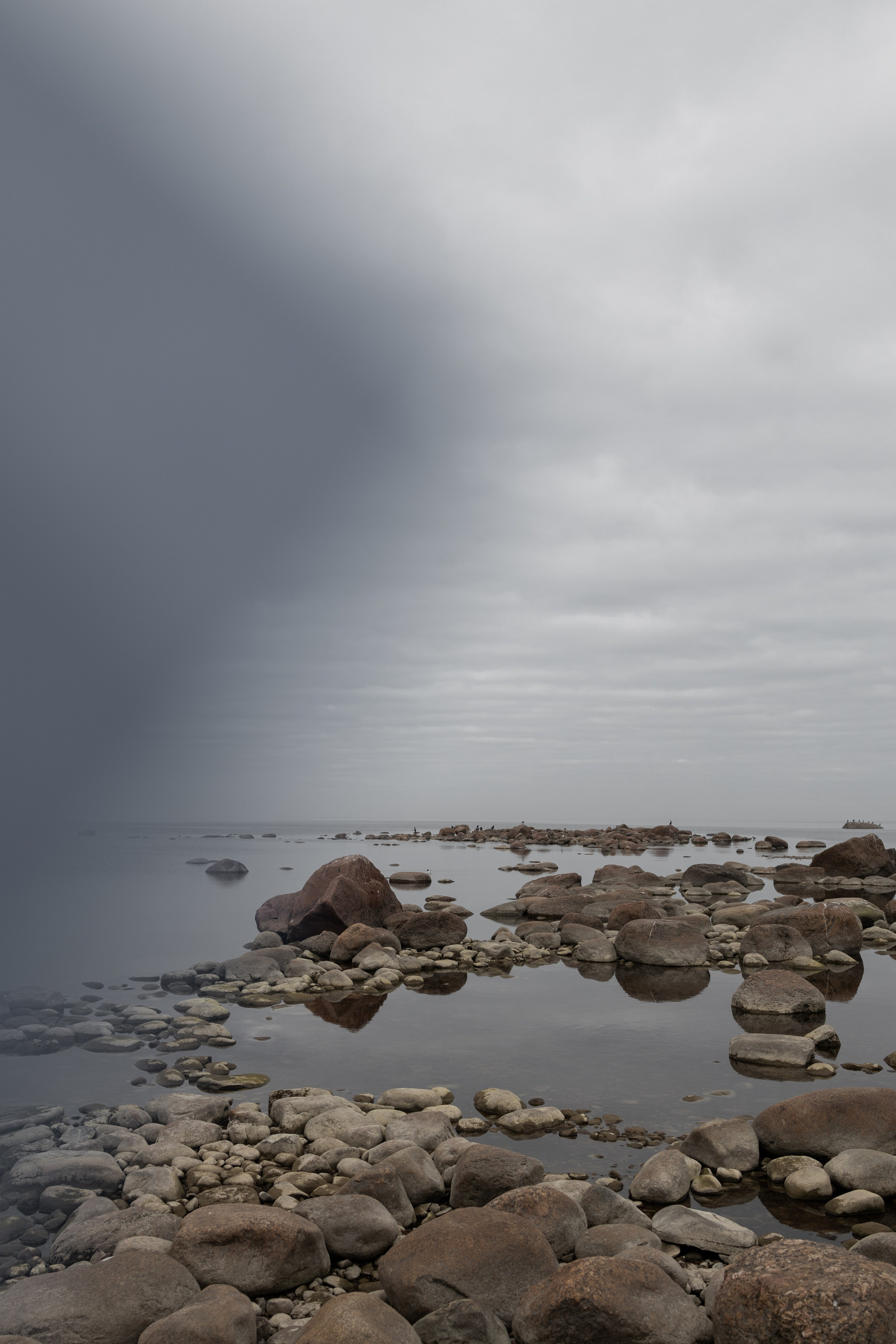 Эстетика П р о Я в л е н и я. Виноградова Маргарита. Фотограф P r o Явления