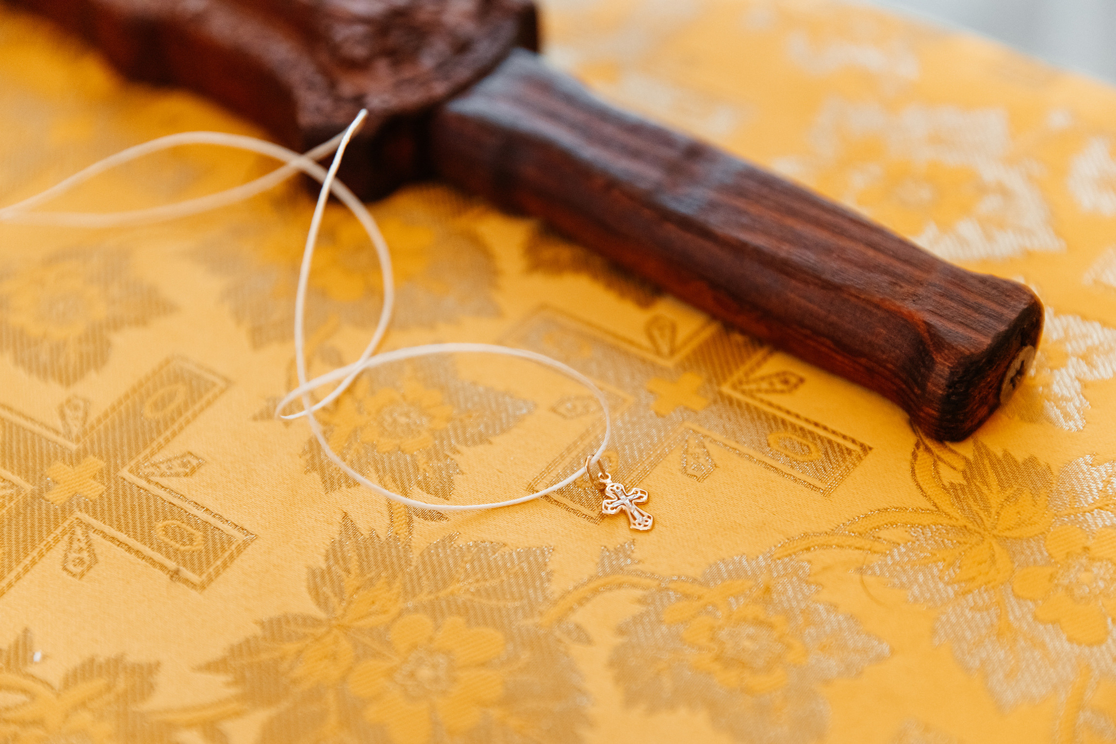 Крещение Льва