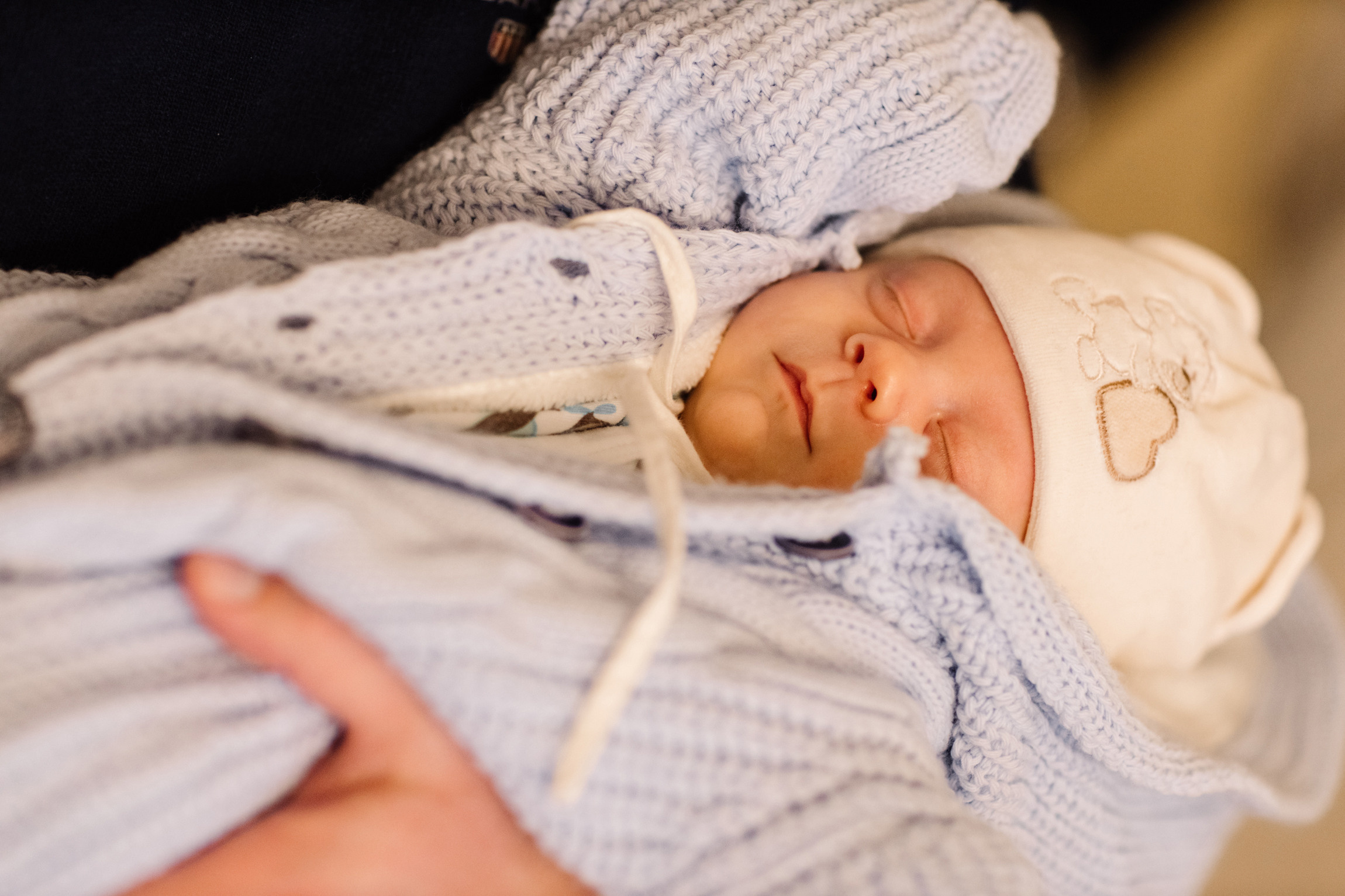 Крещение Льва