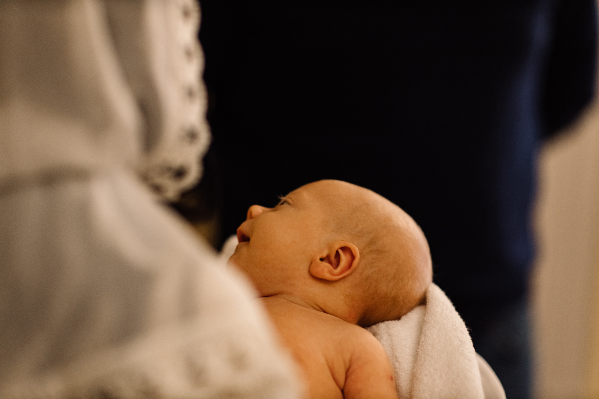 Крещение Льва