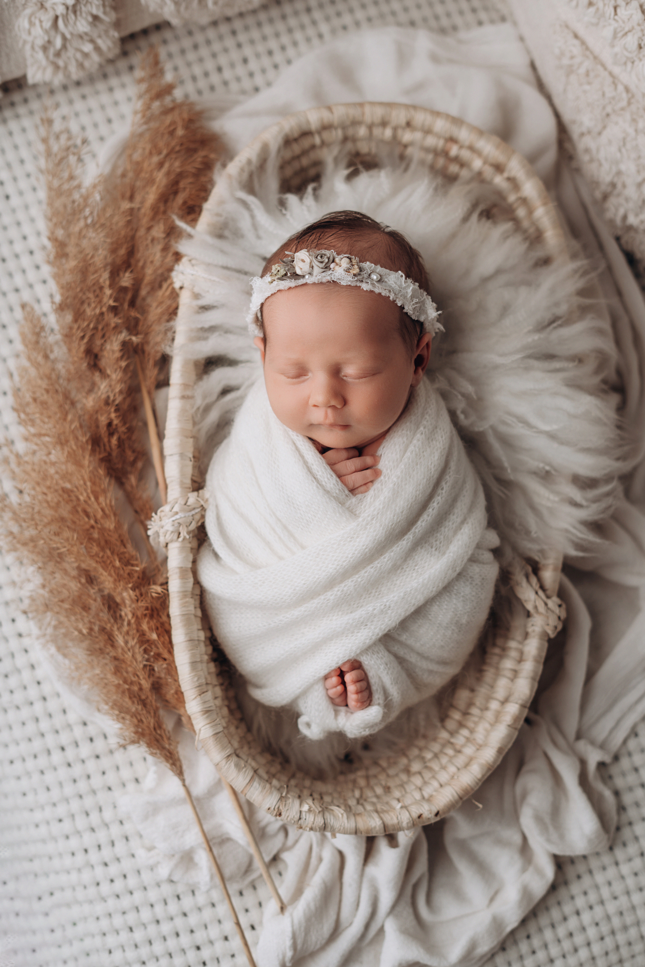 Есения. Фотограф новорожденных и малышей до года в Москве Анастасия Соколова