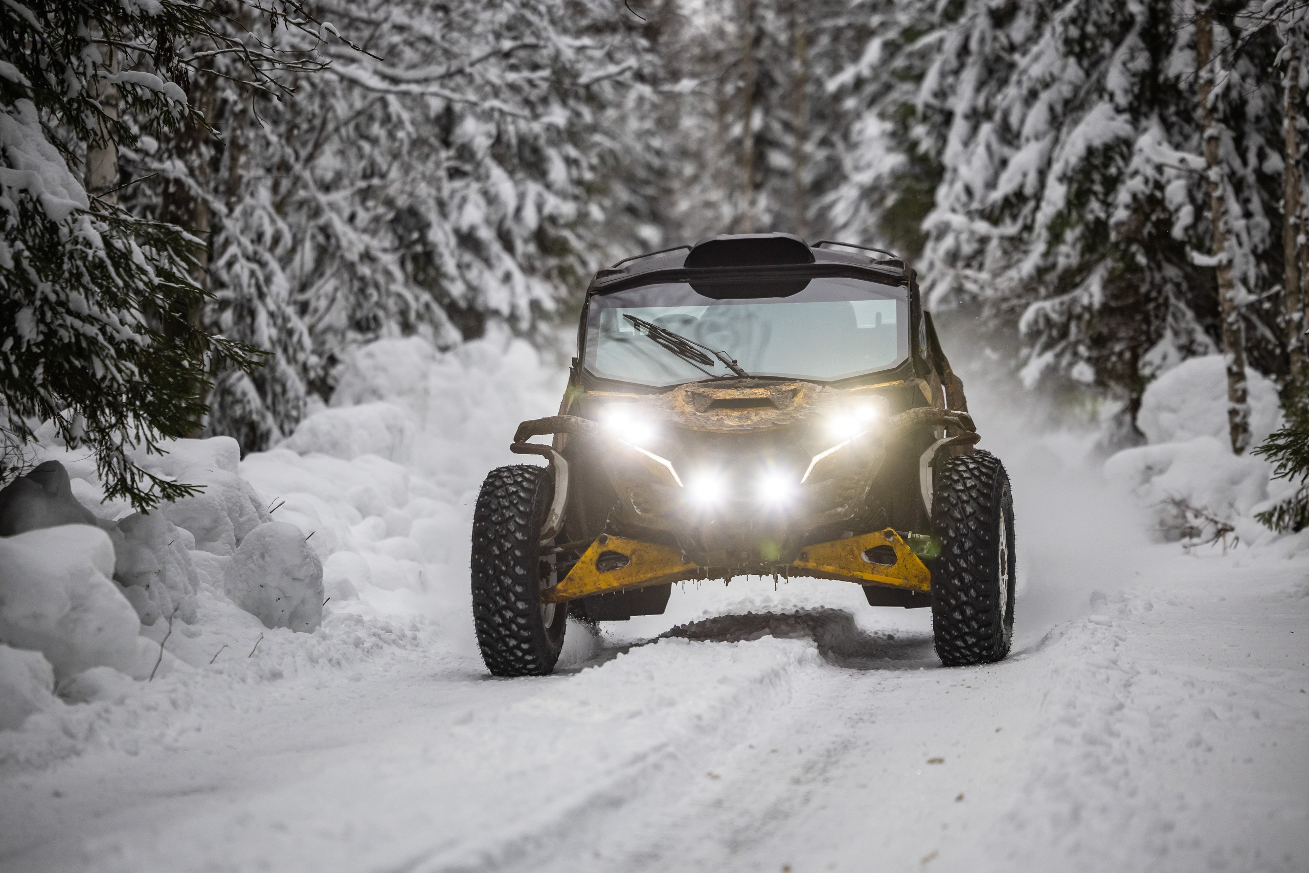 Ралли СеверныйЛес