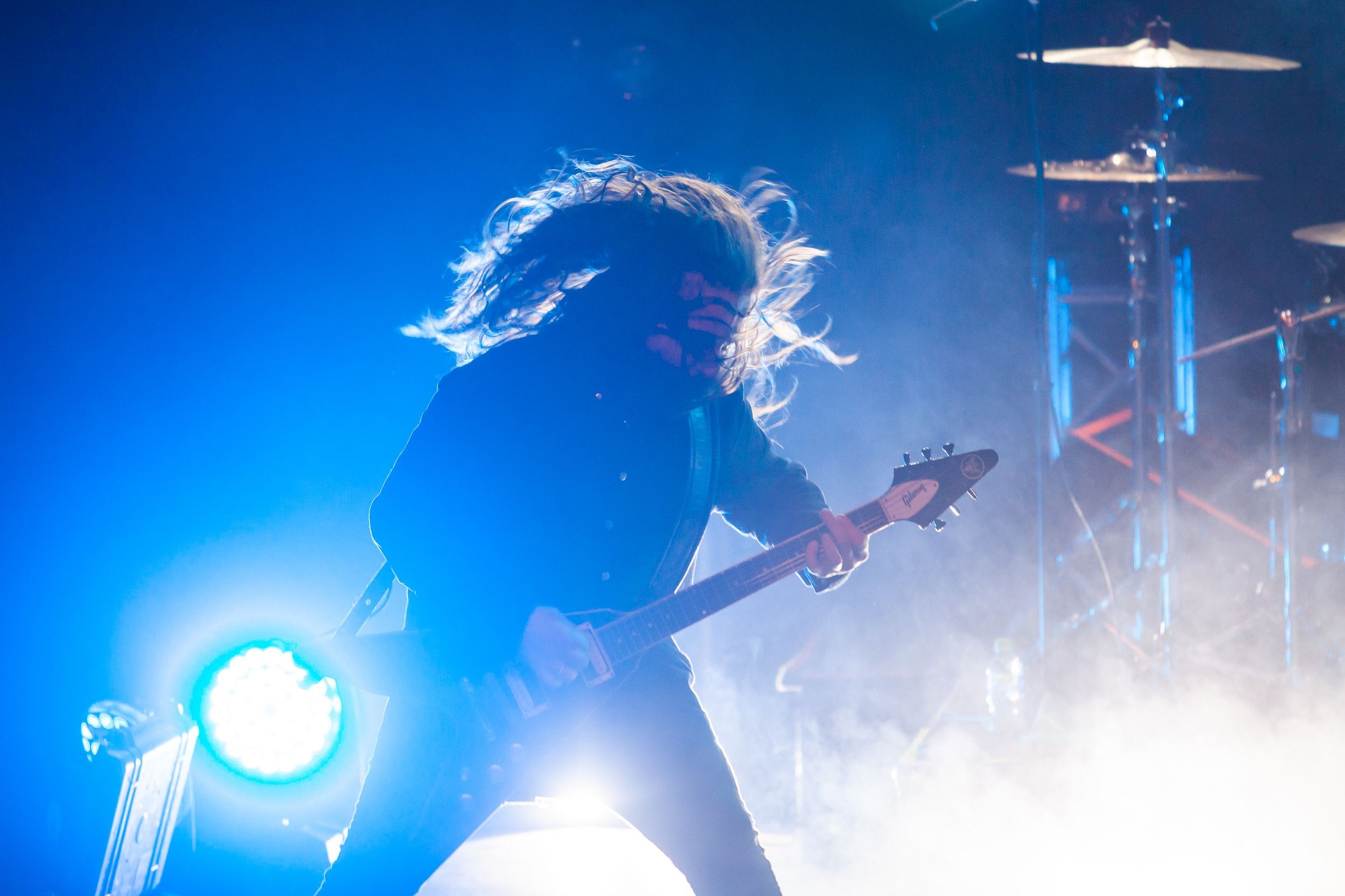 Animal ДжаZ. Репортажный фотограф Алексей Пирязев