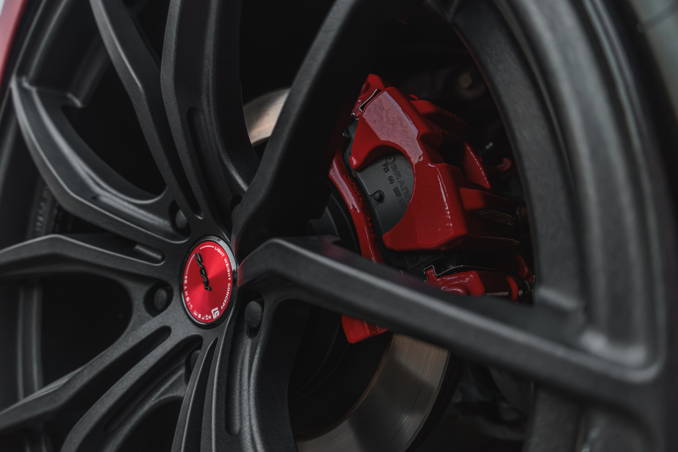 Mustang. Мелехов Дмитрий|Фотограф|Видеограф