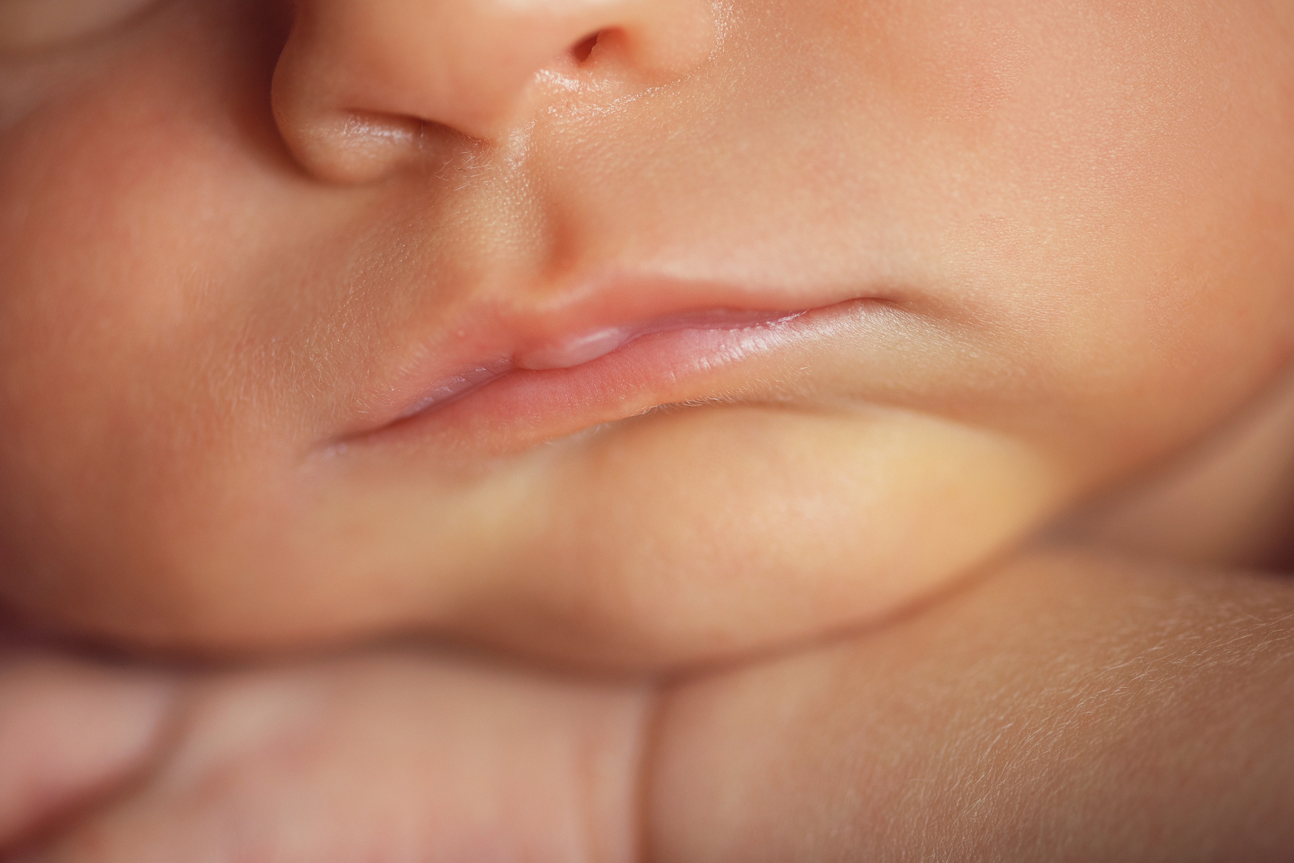 Макро. Фотограф Новорожденных во Владивостоке Ольга Галаницкая