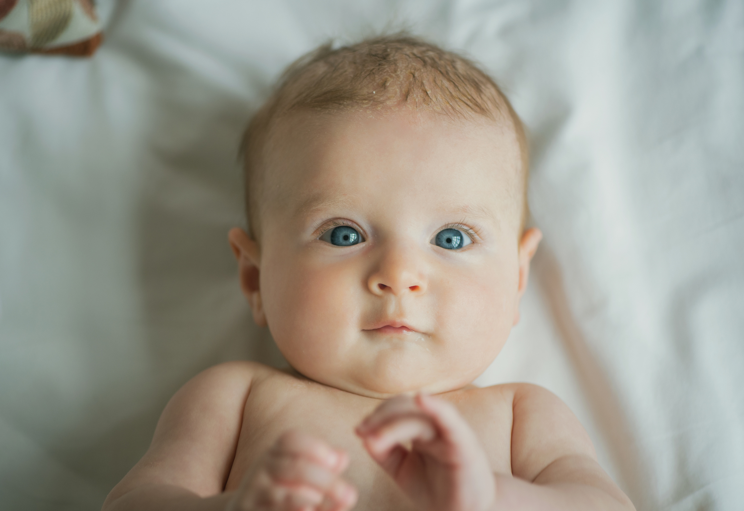Малыши до года. Фотограф Новорожденных во Владивостоке Ольга Галаницкая