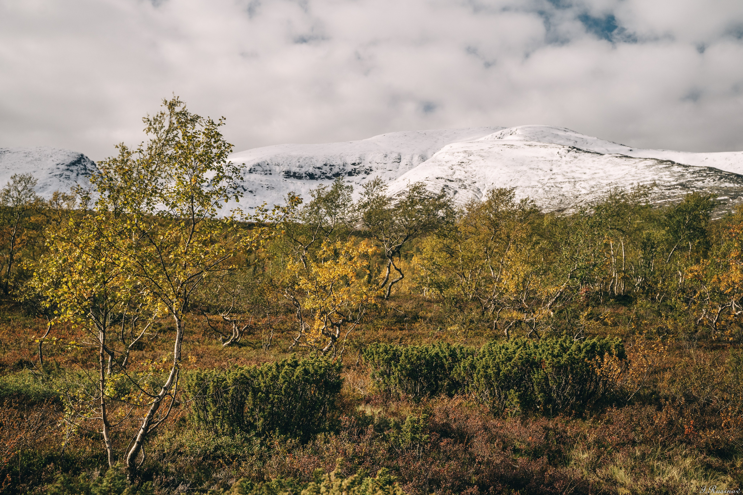 ХИБИНЫ 2021 г. Event фотограф Степанова Александра