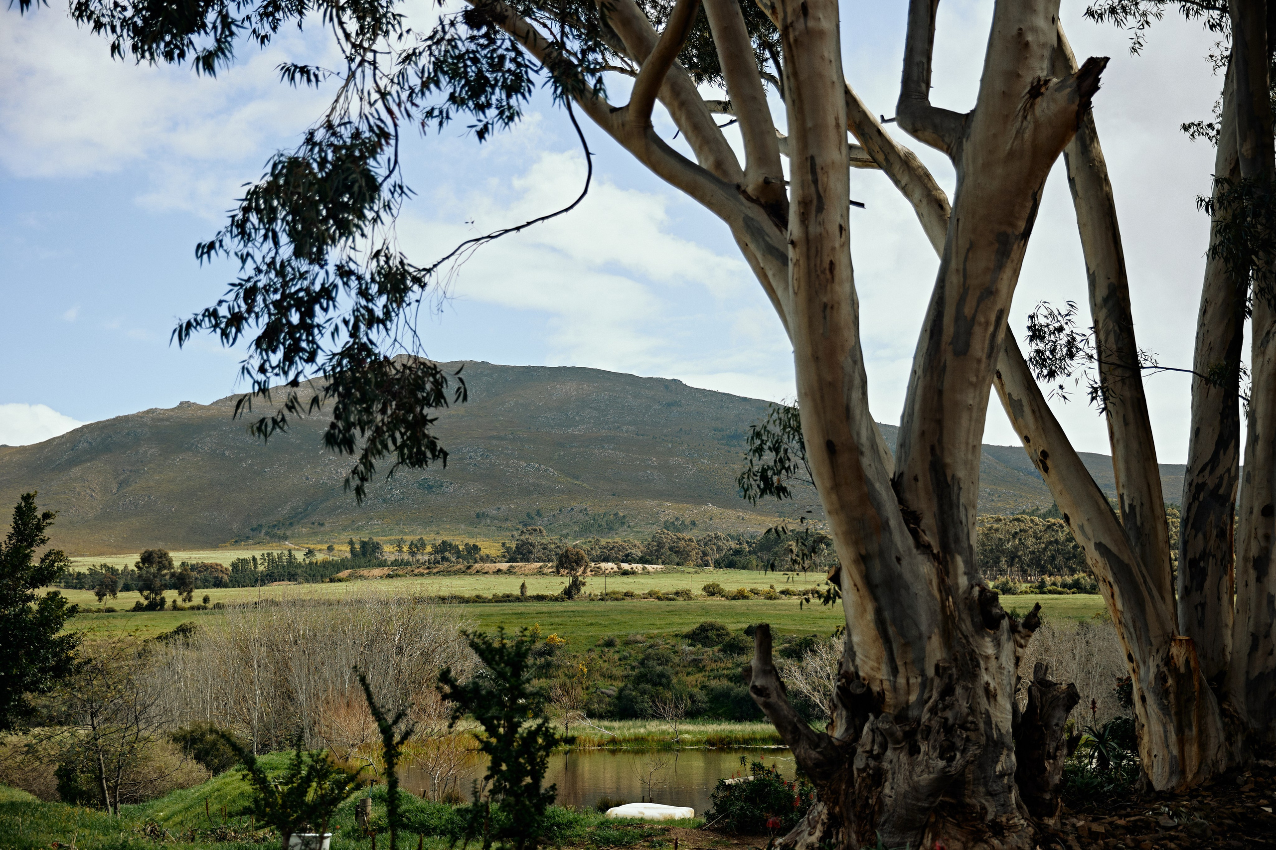 SOUTH AFRICA EMBA 38. Дмитрий Мазуркевич: Профессиональный Репортажный Фотограф