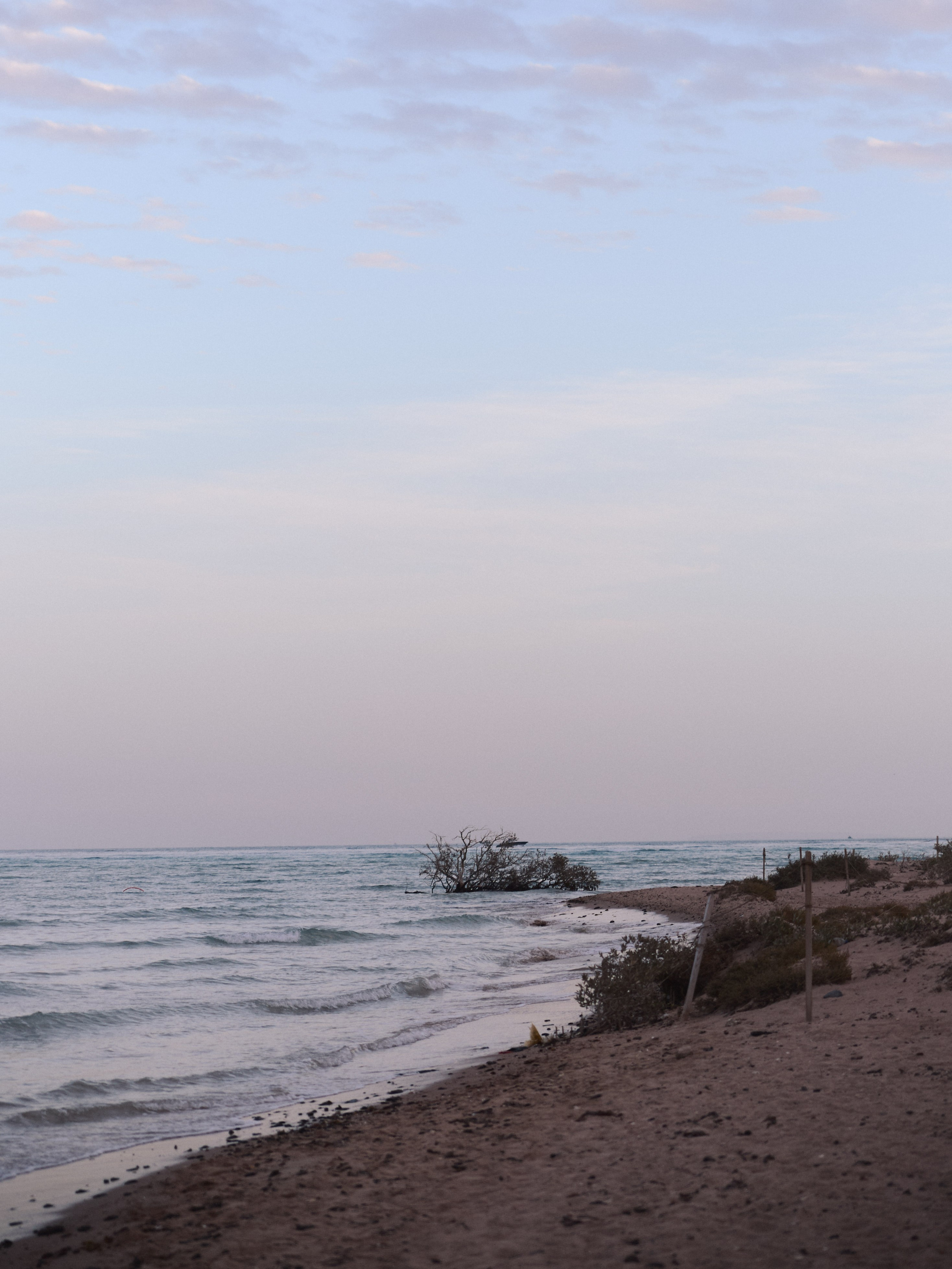 Улицы. Jorgis Talè — photographer, kind person, teacher of arts and other mag