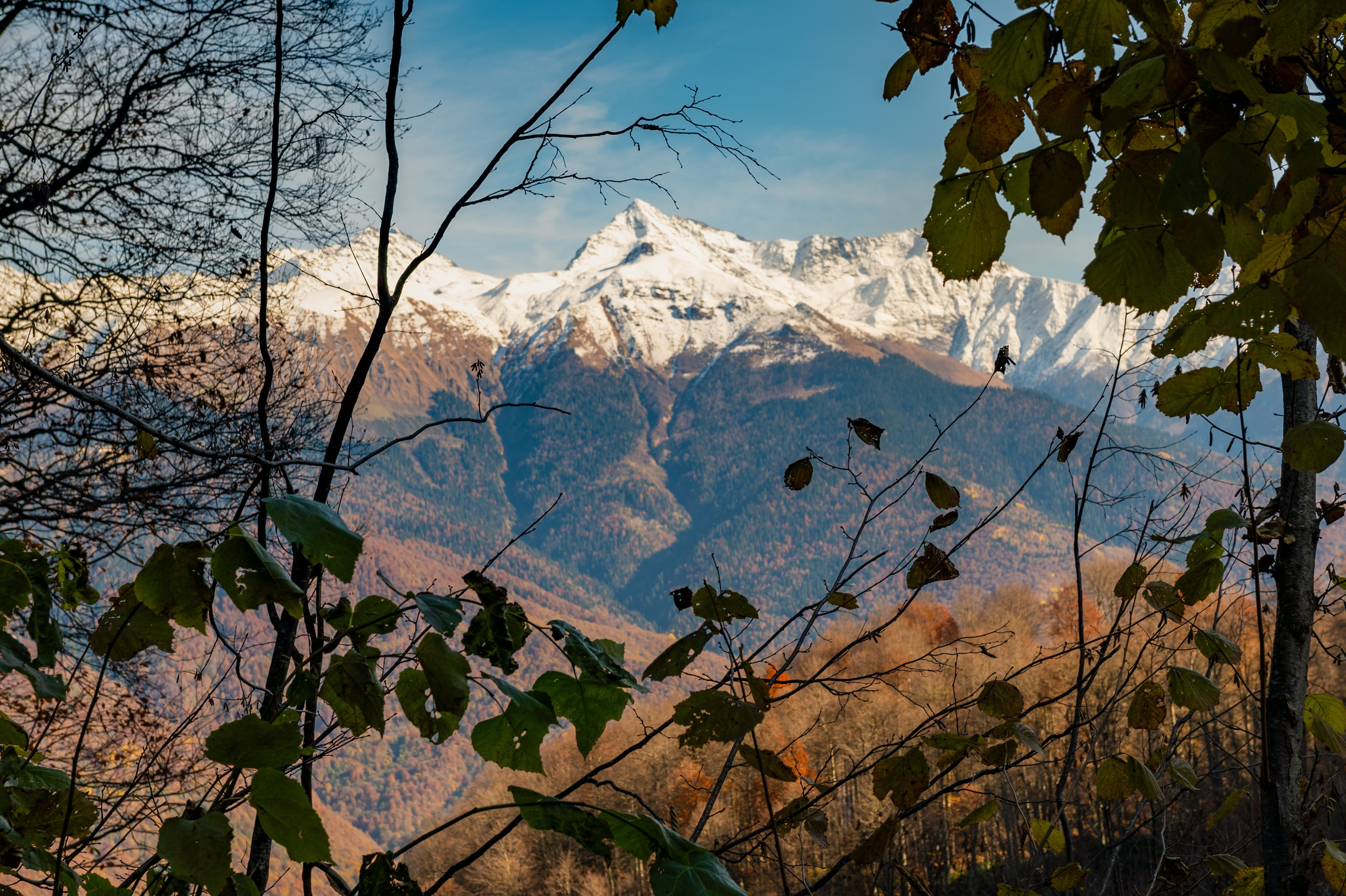 Mice мероприятие — прогулка на водопад Поликаря на курорте Красная Поляна. Репортажный фотограф в Красной Поляне и Сочи Павлюченко Екатерина