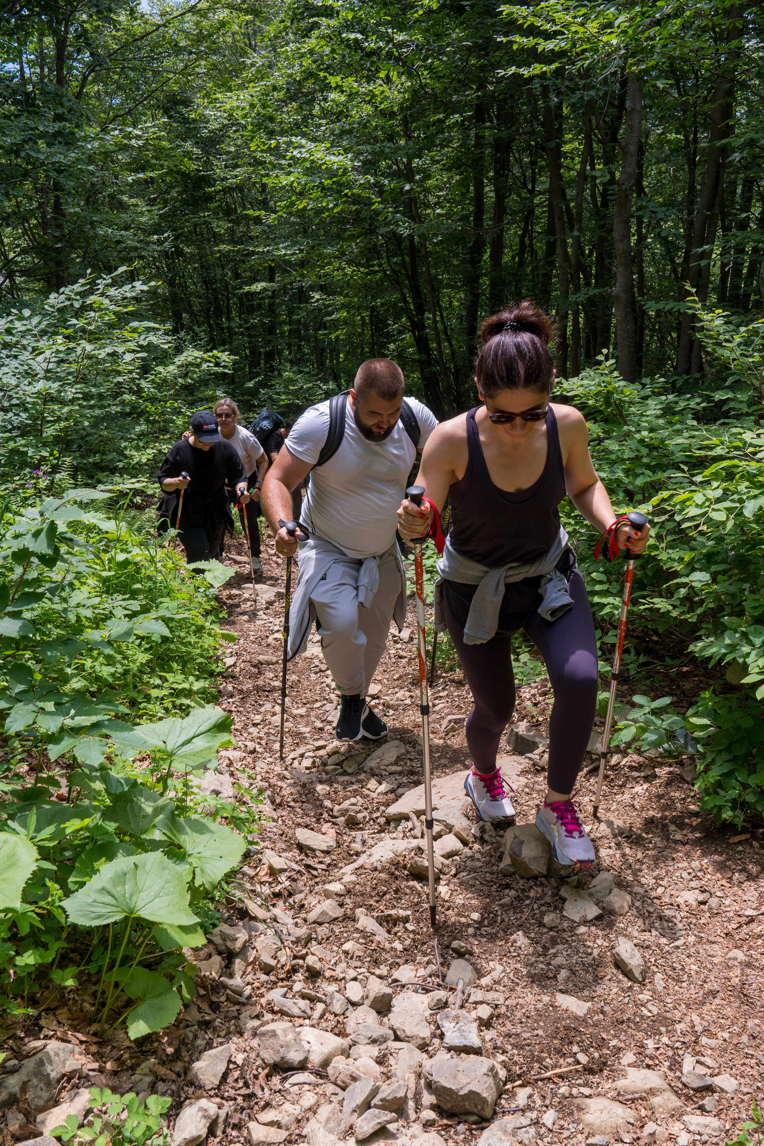MICE мероприятие для компании «Доставка морем»: хайкинг к Ачипсинским водопадам. Репортажный фотограф в Красной Поляне и Сочи Павлюченко Екатерина