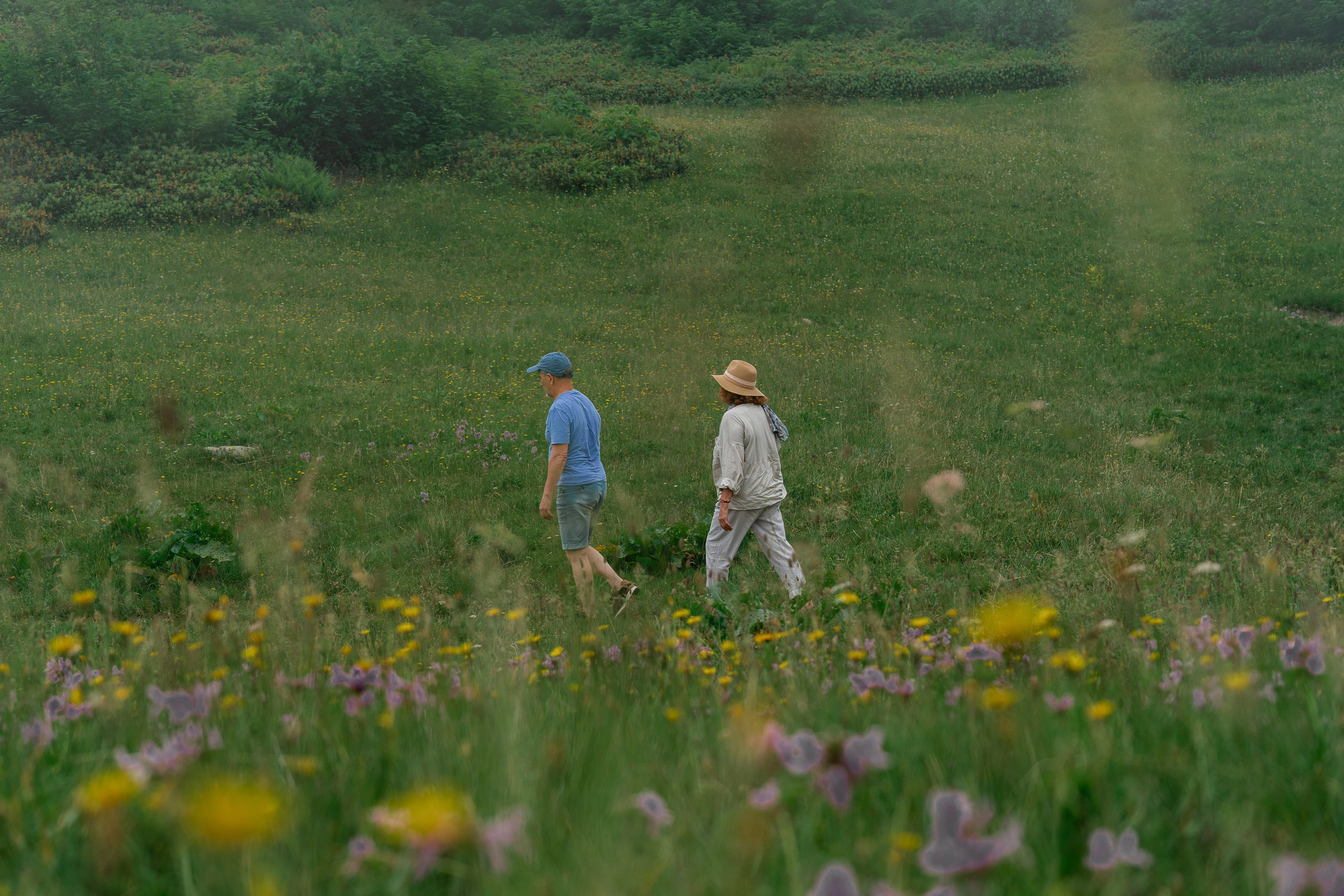 Психологический тренинг на озере Зеркальное. Репортажный фотограф в Красной Поляне и Сочи Павлюченко Екатерина