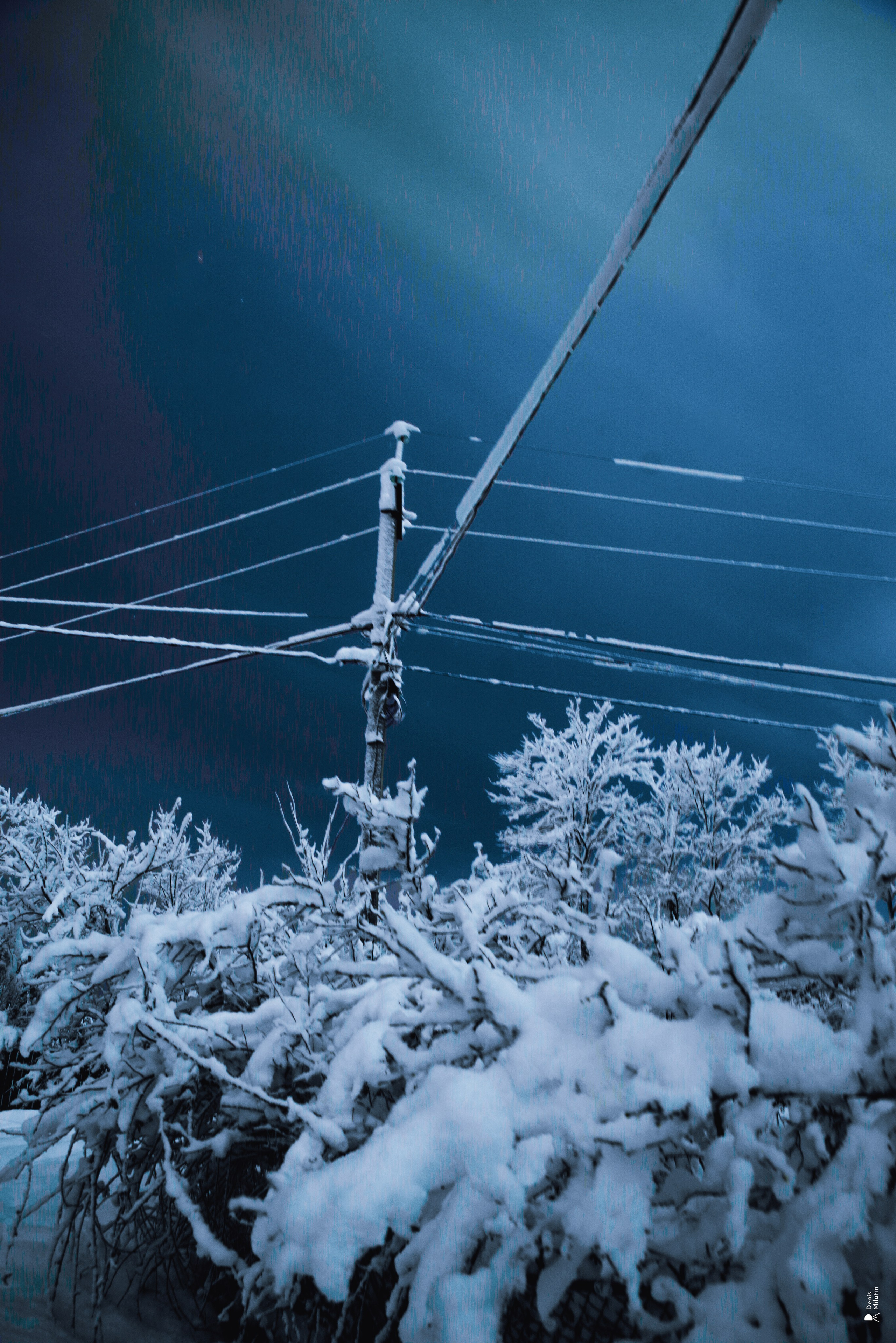 Спящий Менджи зимой. Портретный фотограф Денис Милютин