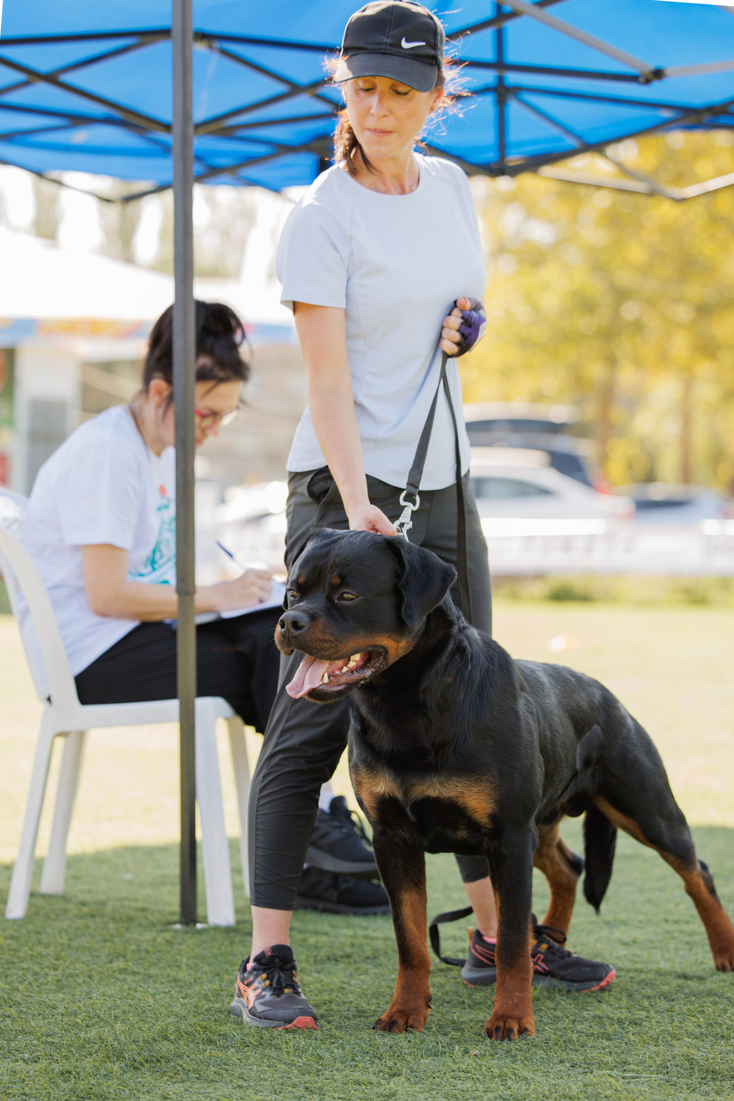 Анапа ротвейлеры 14-15.09.2024. Фотограф-анималист Юлия Германика