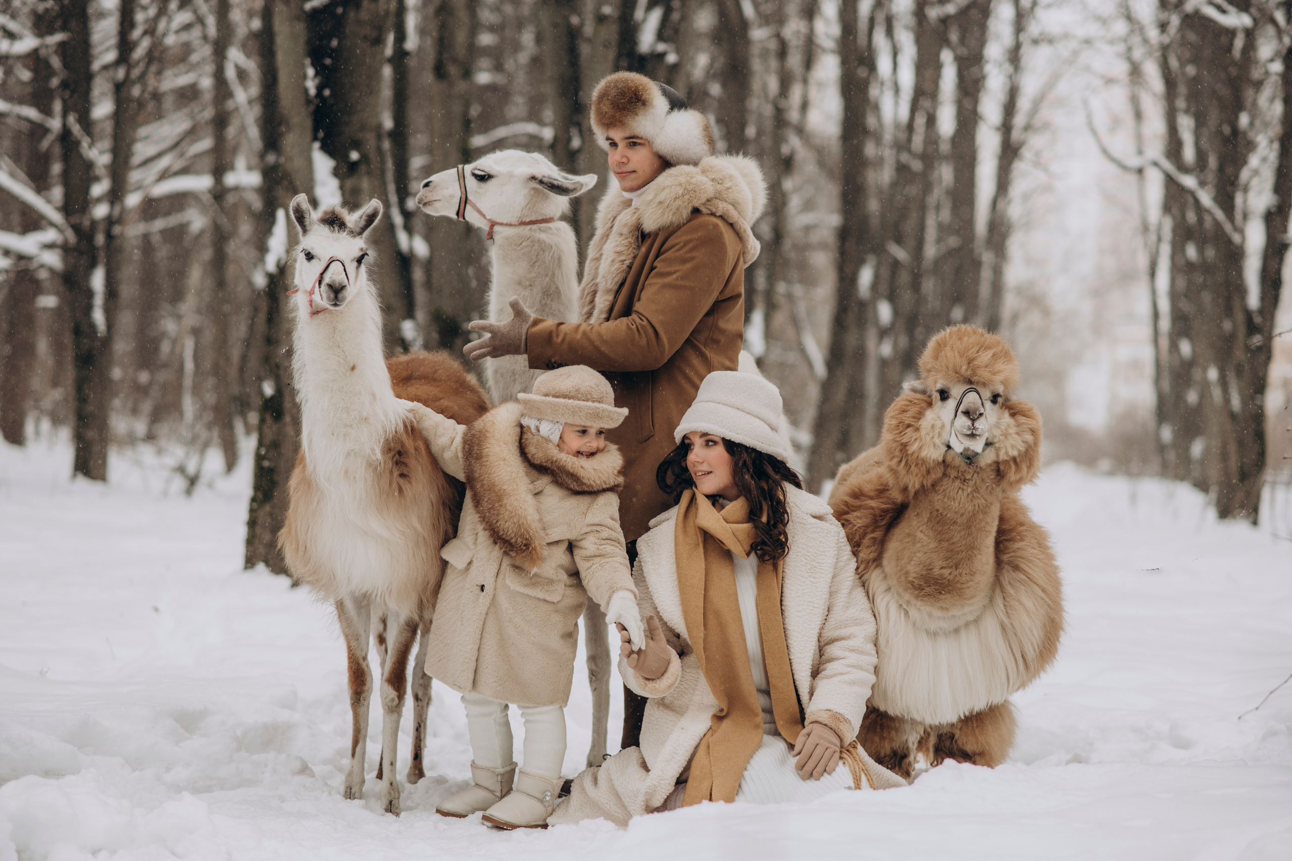 Зимняя фотосессия с Альпаками. Свадебный фотограф в Дмитрове