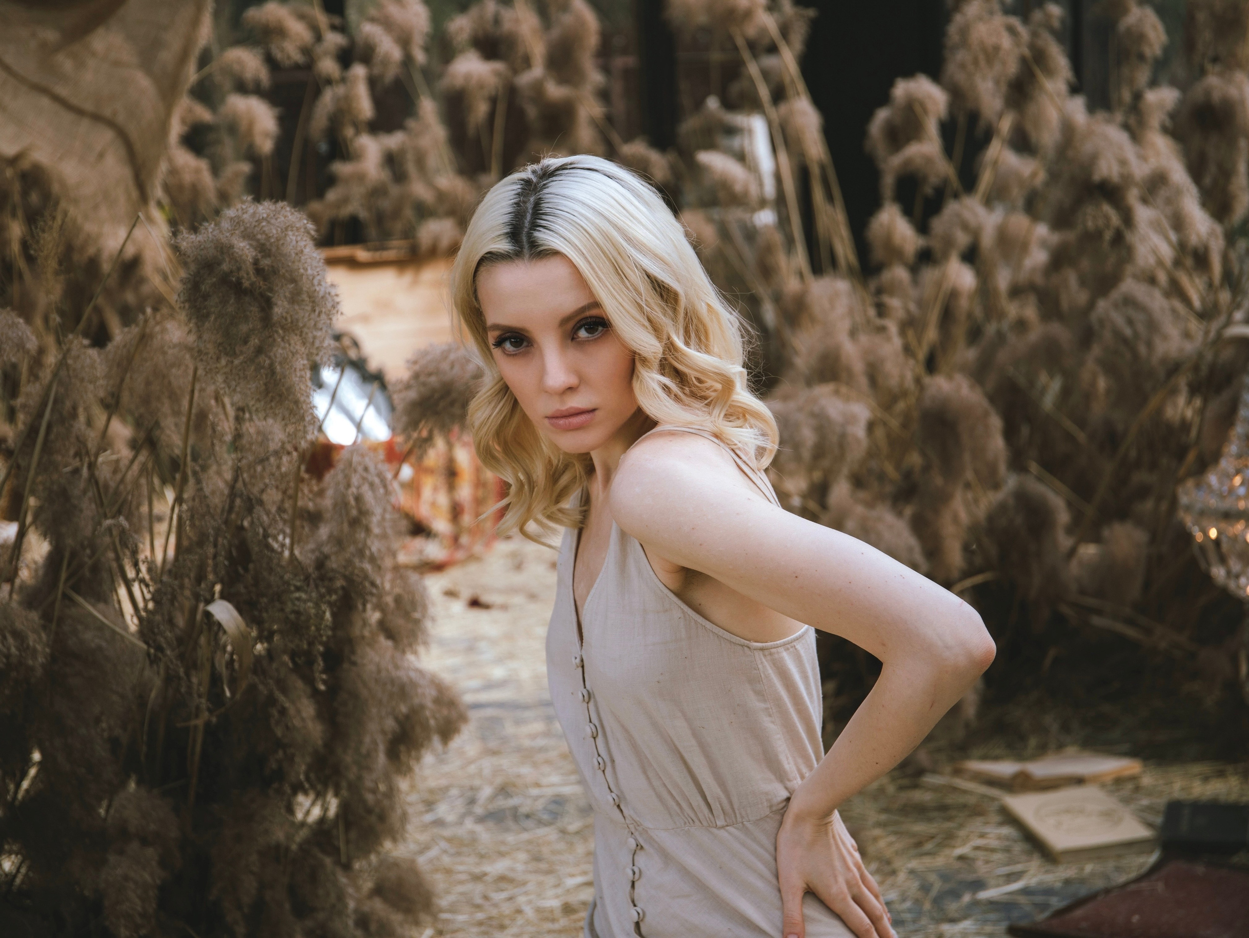 История со скрипкой. Свадебный и семейный фотограф в Москве Мила Широких