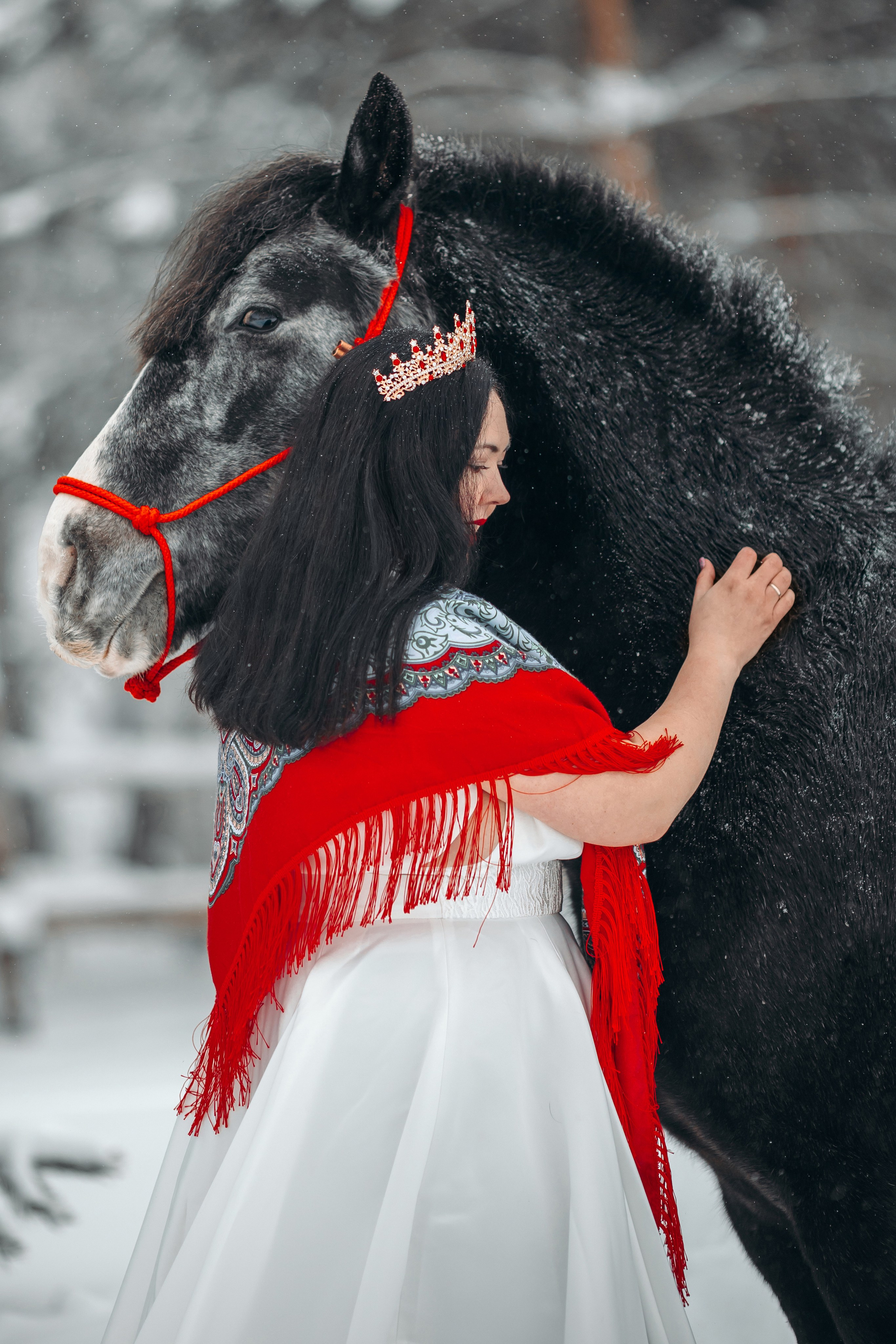 Яблоки на снегу. Анна Молчанова конный фотограф в Тюмени | фотосессии с лошадьми Тюмень