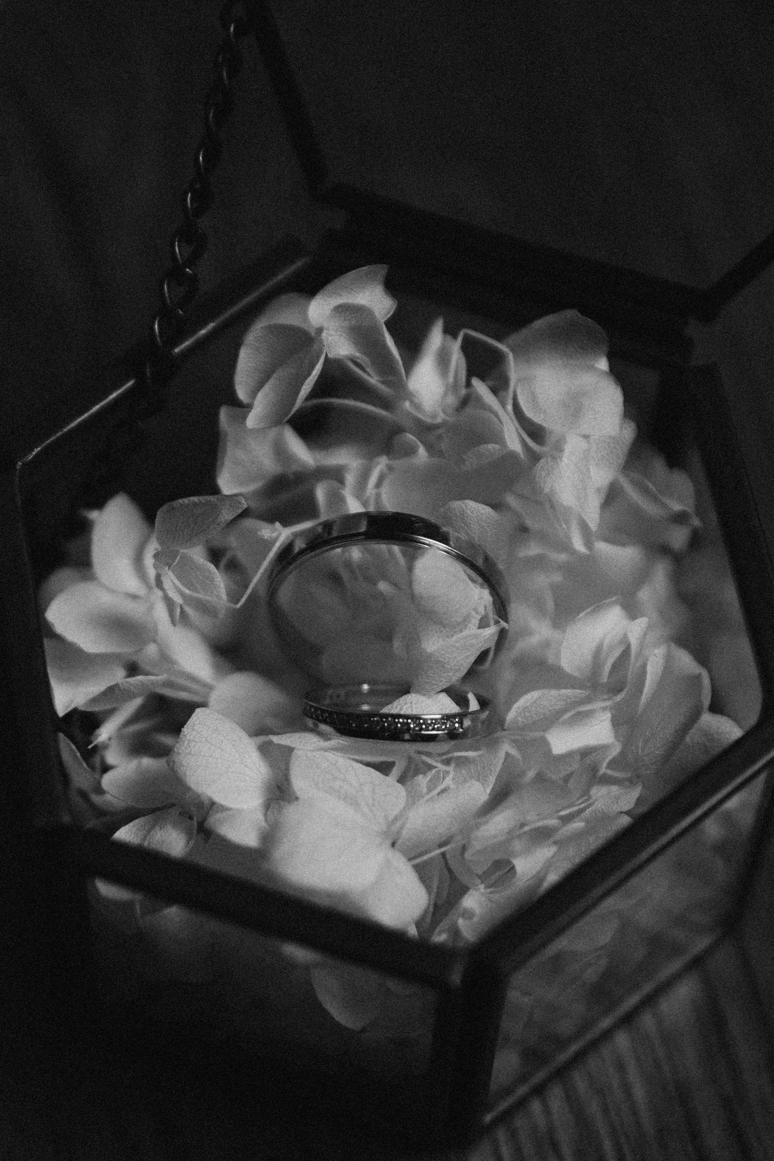 Лера и Денис | Эко-клуб Голицино. Свадебный фотограф Ангелина Зотова | Обнинск, Москва, Калуга