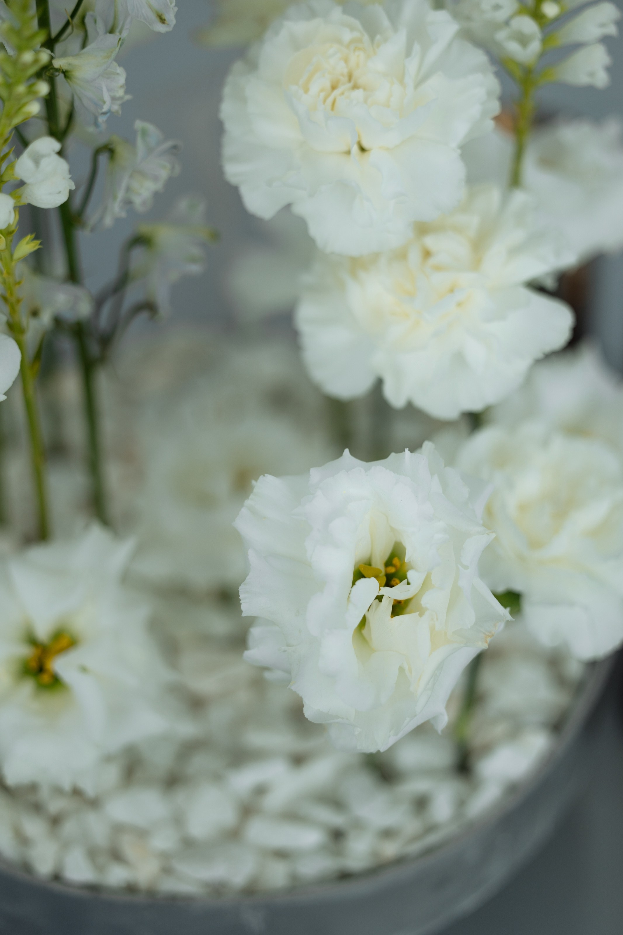 Алибек и Мари. Свадебный фотограф в Ростове — на — Дону Александра Пивоварова