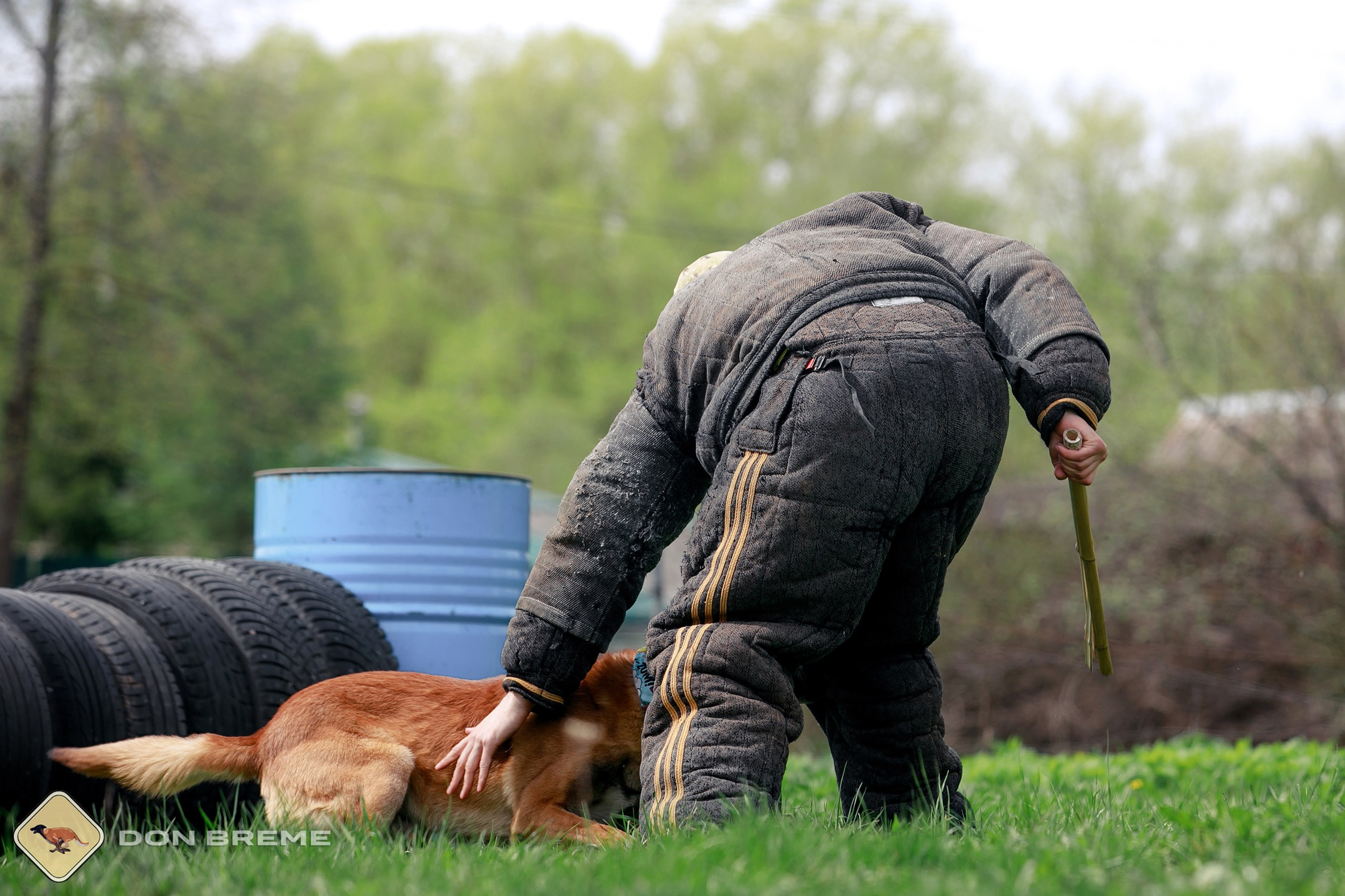 Семинар для фигурантов, день 2. Фотограф-анималист Mary Mart — Москва, Питер