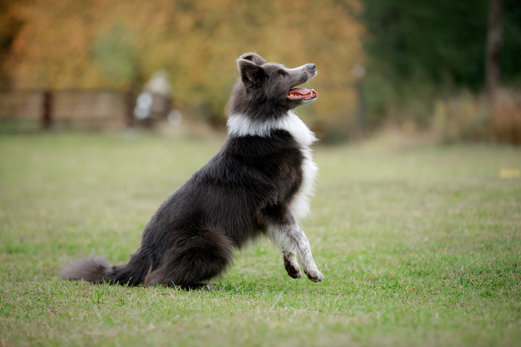 Лагерь по ОБД с Инной Баженовой. Фотограф-анималист Mary Mart — Москва, Питер