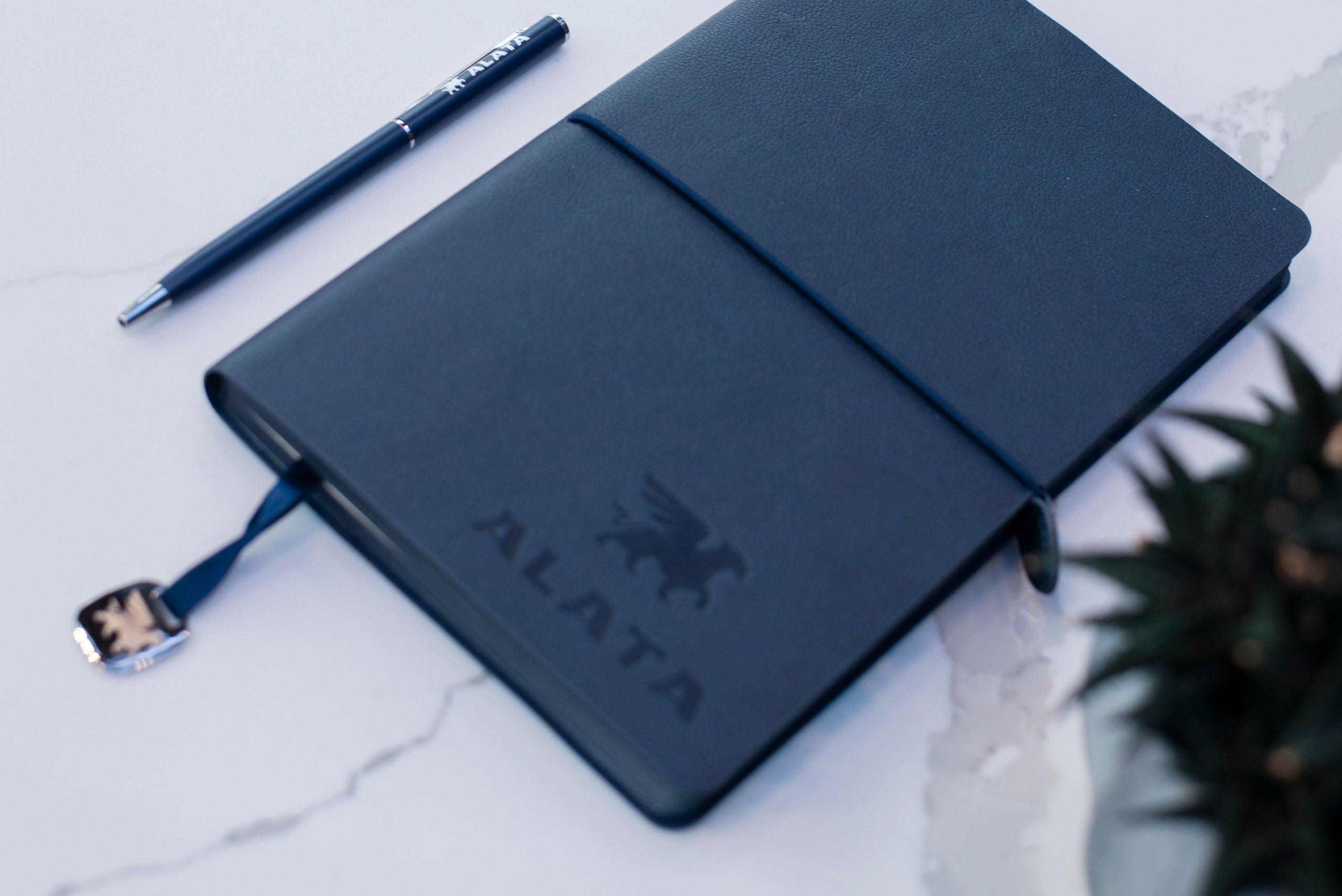 Съемка для маркетплейсов (WB, OZON). Главная