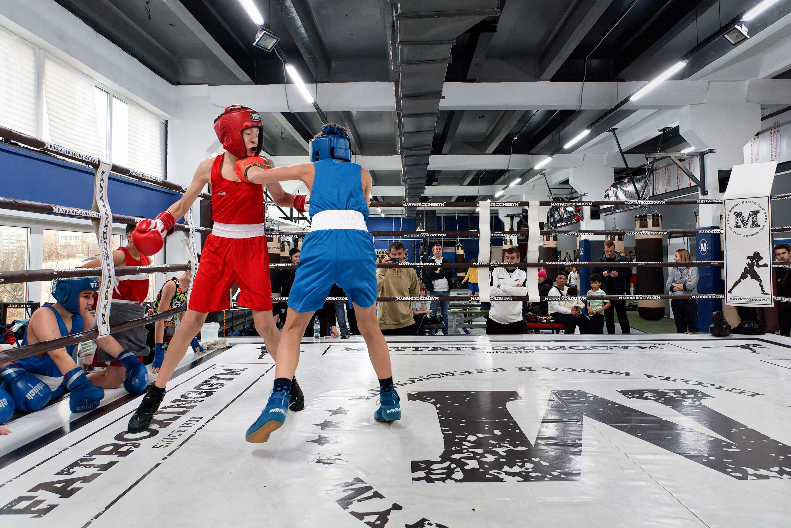 «Открытый ринг» в школе бокса Сергея Майфата. Зеленоград, 12.11.2023 г. Фотограф Никифоров-Гордеев Сергей. Москва и МО