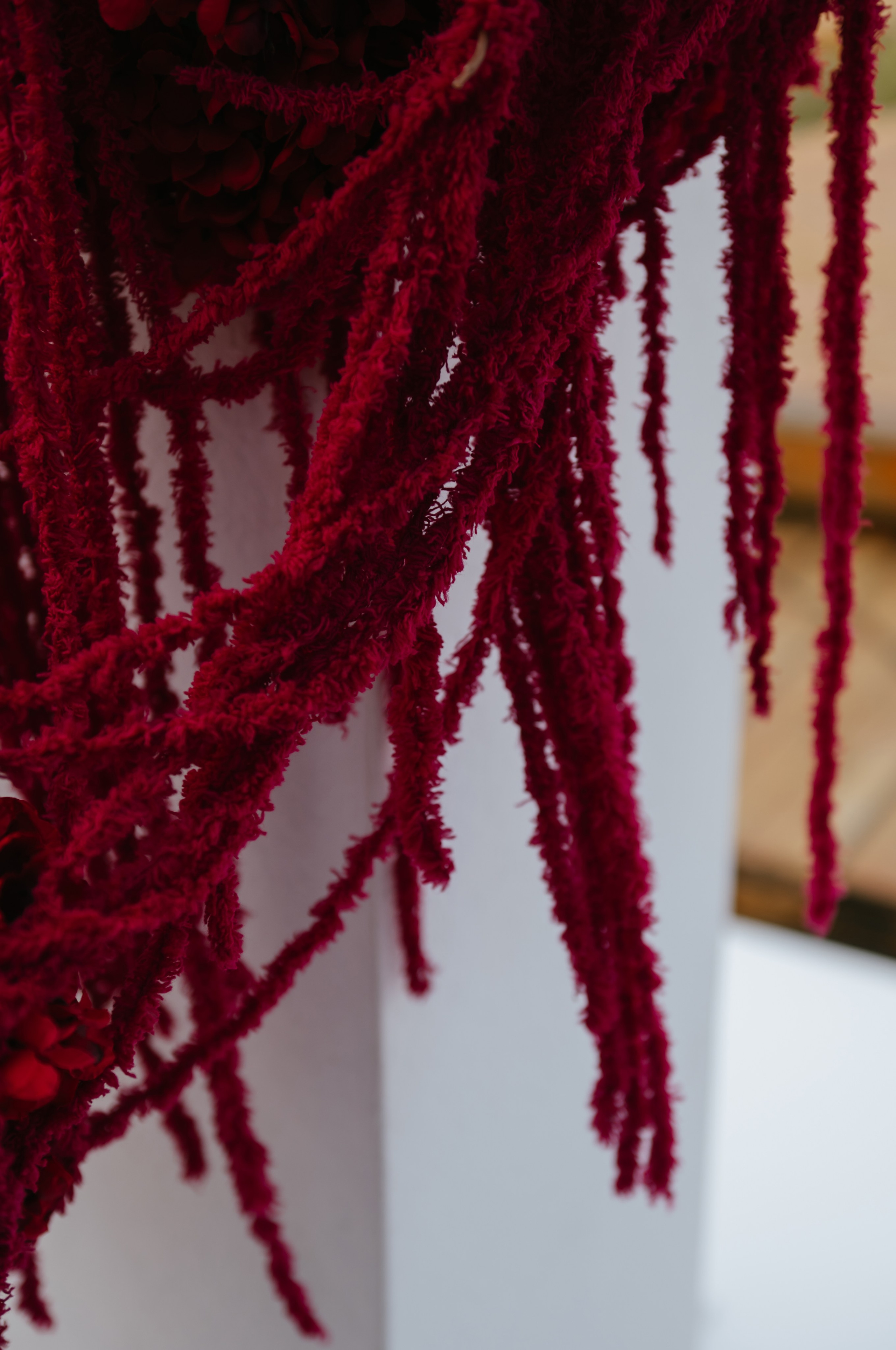 20.02.26. Свадебный, женский, семейный фотограф в Севастополе Юлия Мошенко