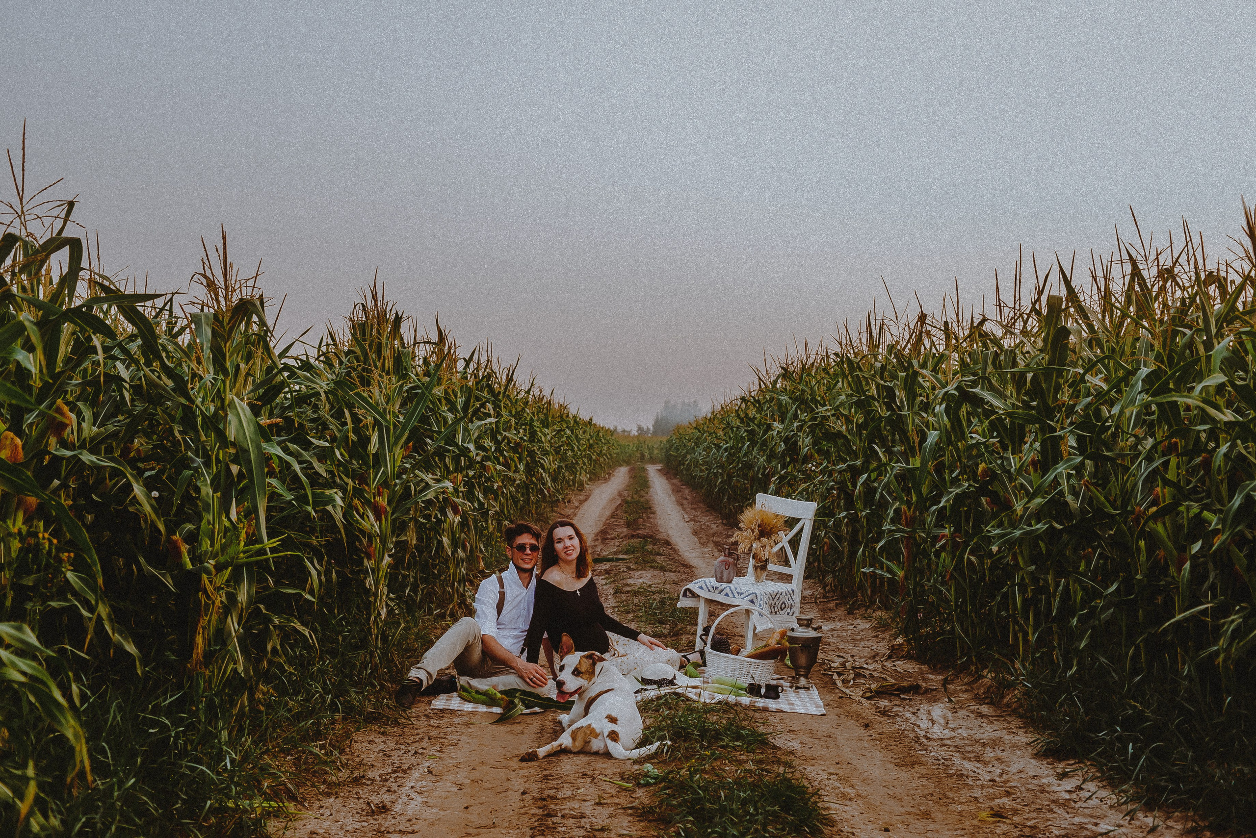 Кукуруза. Свадебный и семейный фотограф в Москве Сажина Кристина КиМ. Свадебный оператор в Москве Сажин Максим