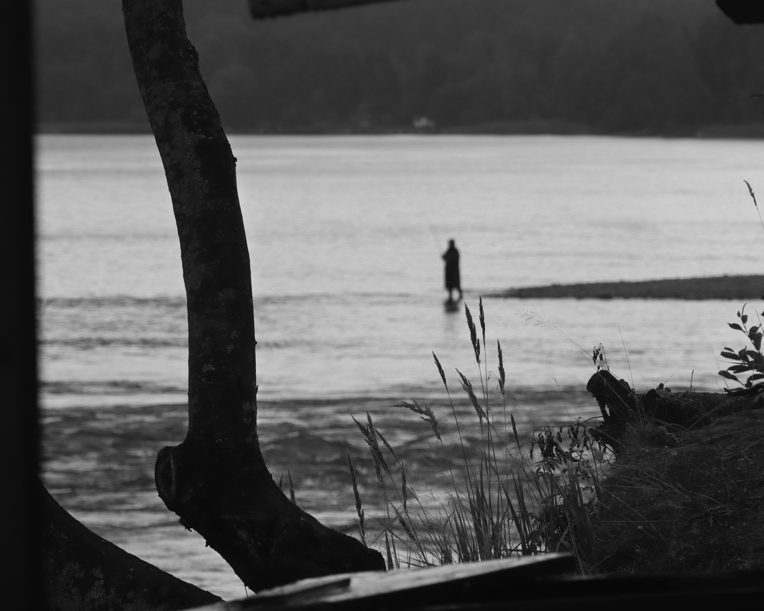 У воды. Главная