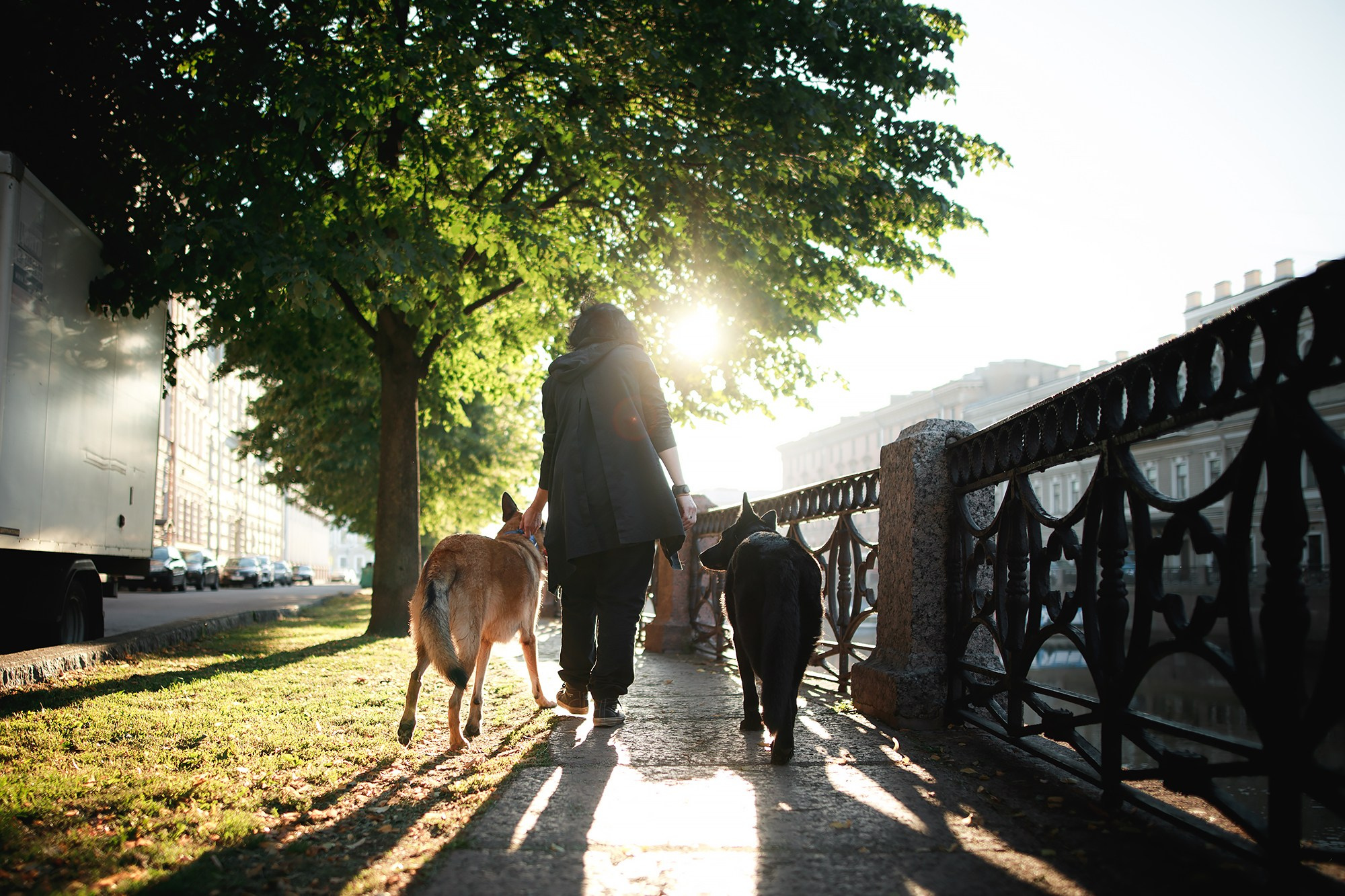 Алена, Кай и Мара. Фотограф-анималист Mary Mart — Москва, Питер