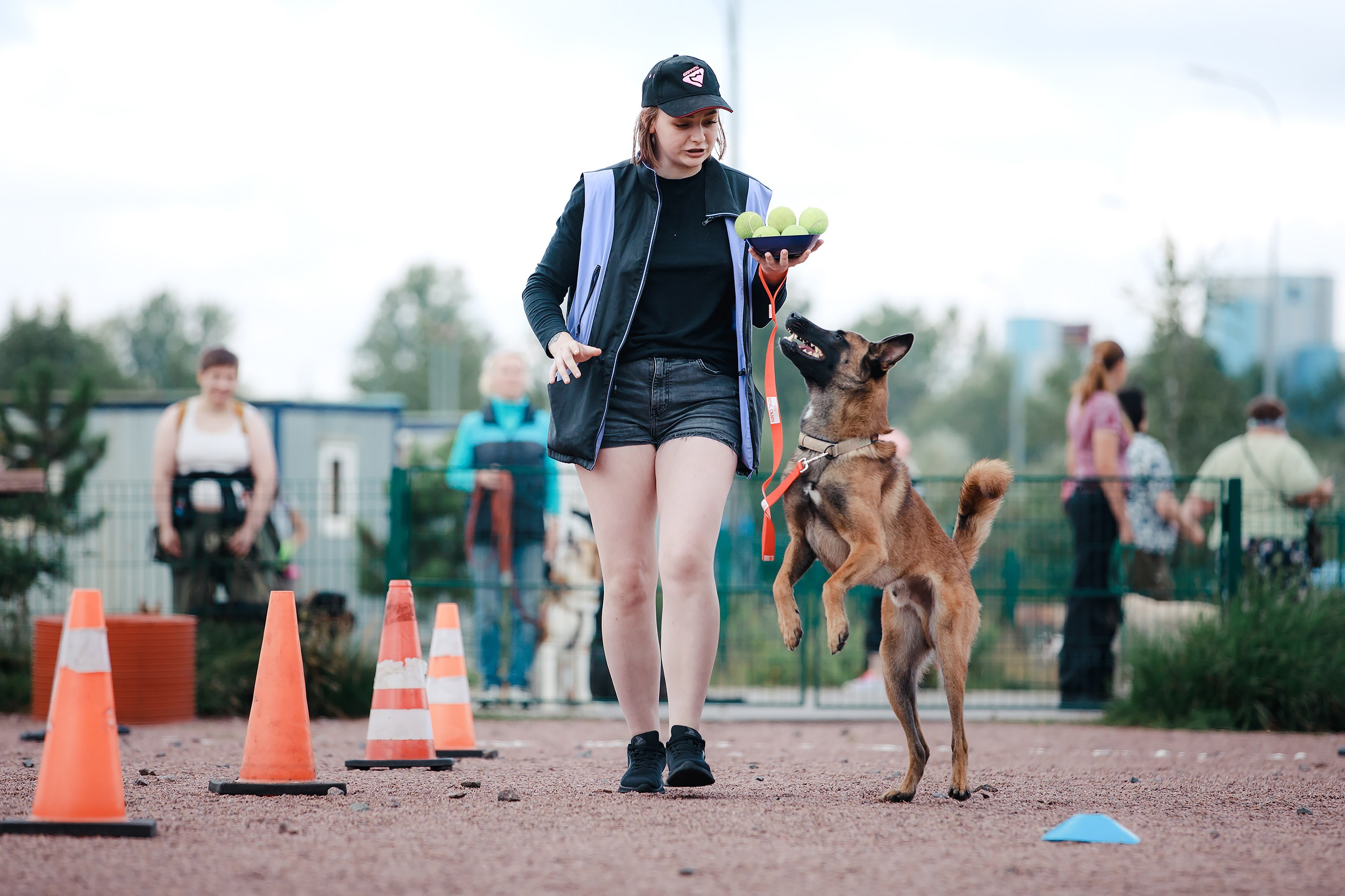Питч&Гоу + веселые старты. Фотограф-анималист Mary Mart — Москва, Питер