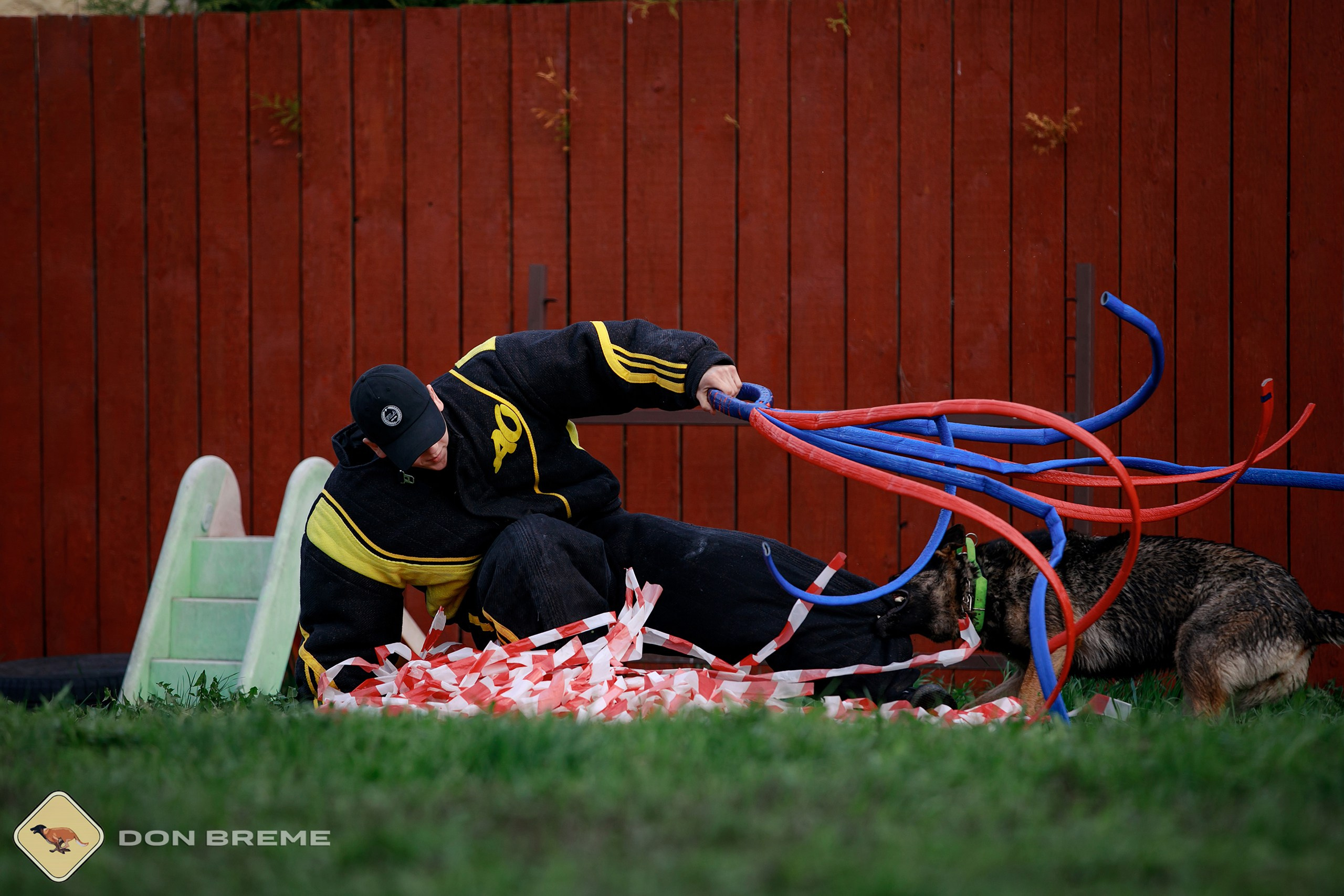 Семинар для фигурантов, день 2. Фотограф-анималист Mary Mart — Москва, Питер