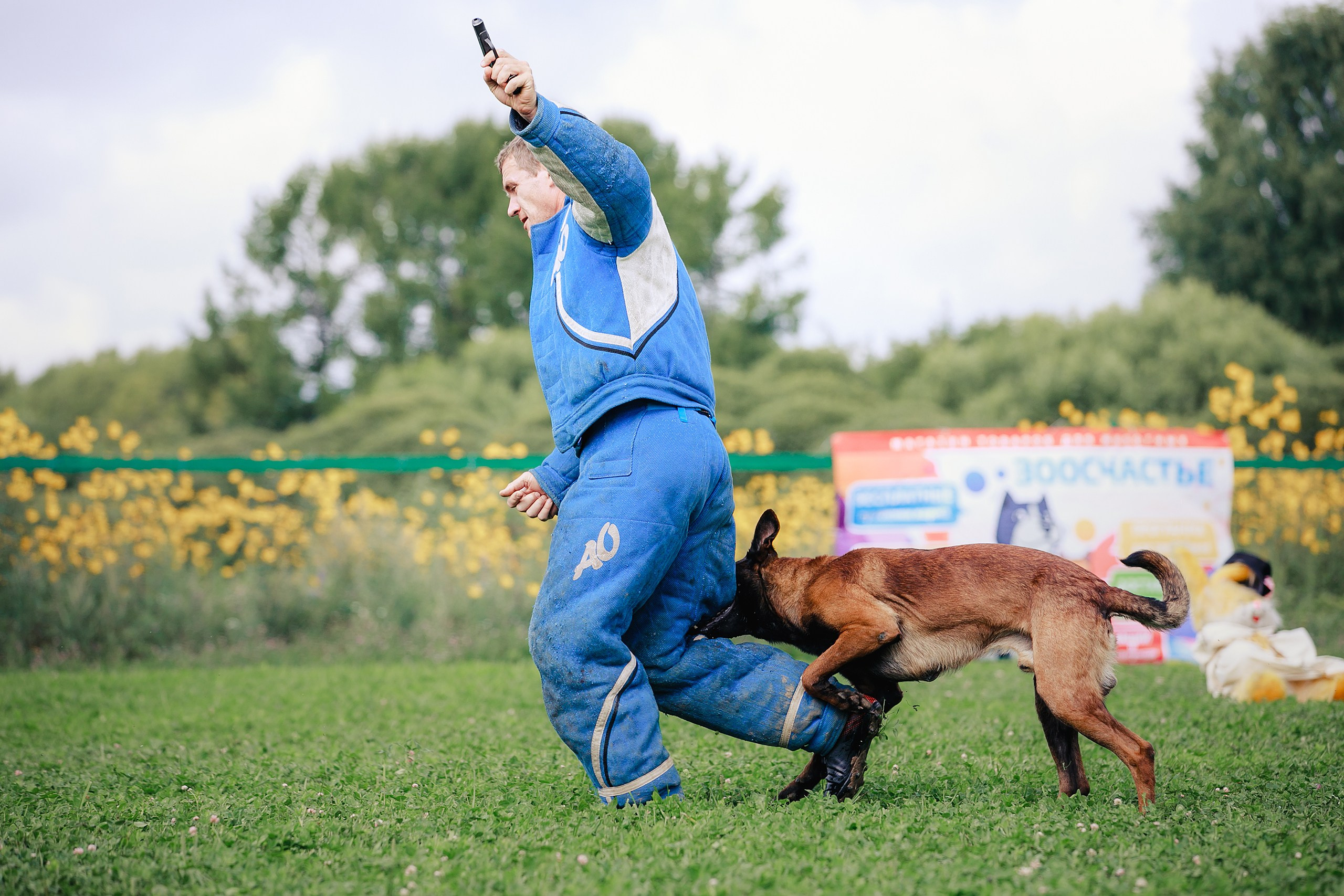 Мондьоринг М1, М2, М3, Вологда. Фотограф-анималист Mary Mart — Москва, Питер