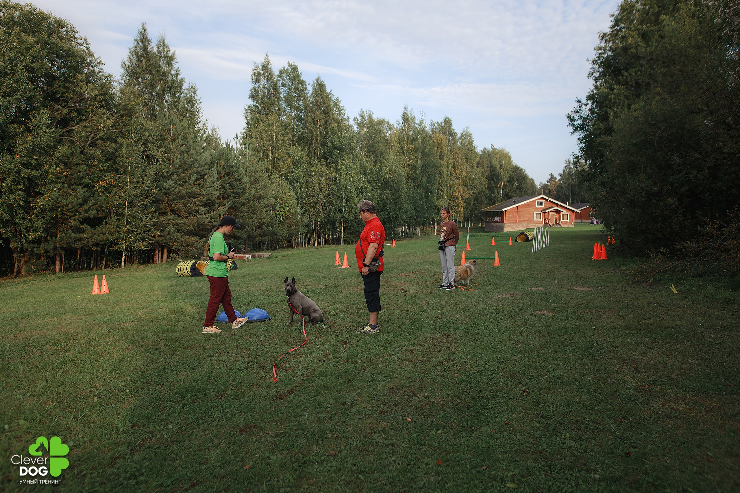 Кинологический лагерь CleverDog, 2024. Фотограф-анималист Mary Mart — Москва, Питер