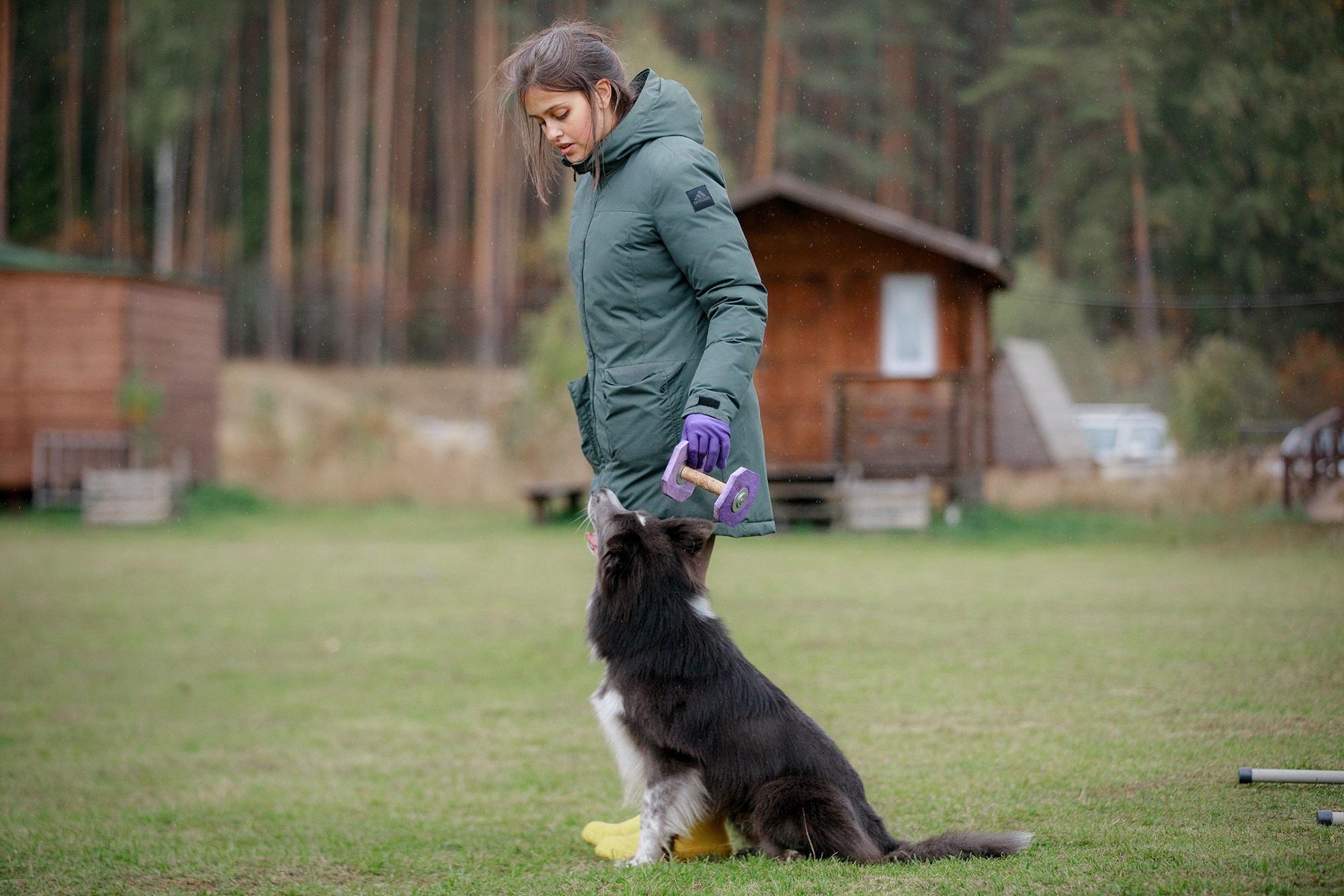 Лагерь по ОБД с Инной Баженовой. Фотограф-анималист Mary Mart — Москва, Питер