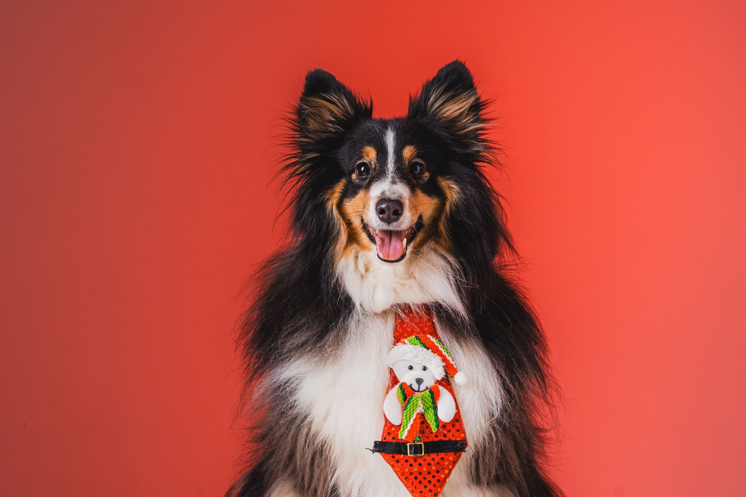 Воркшоп по импульсному свету