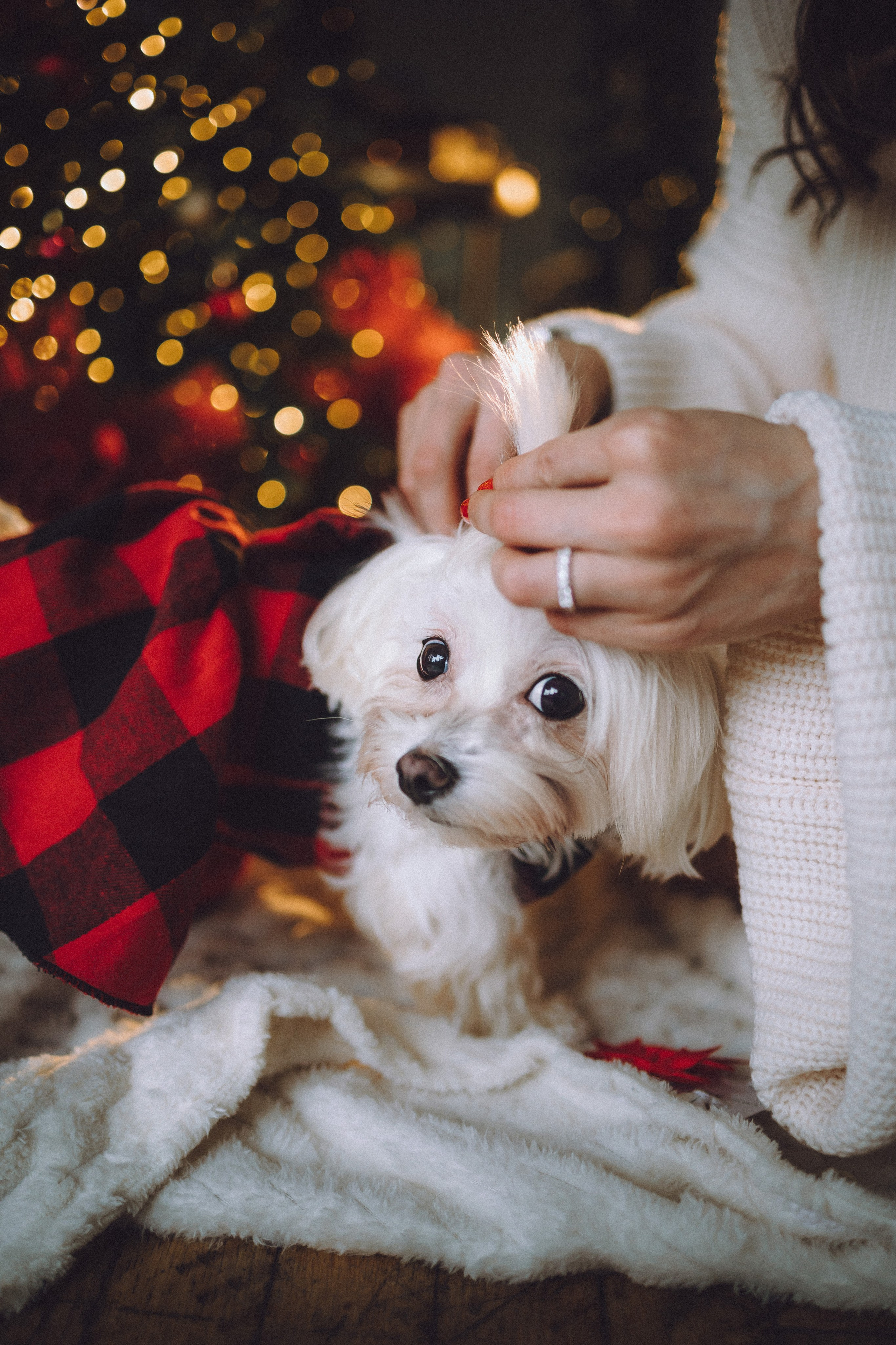 Констанция и Молли