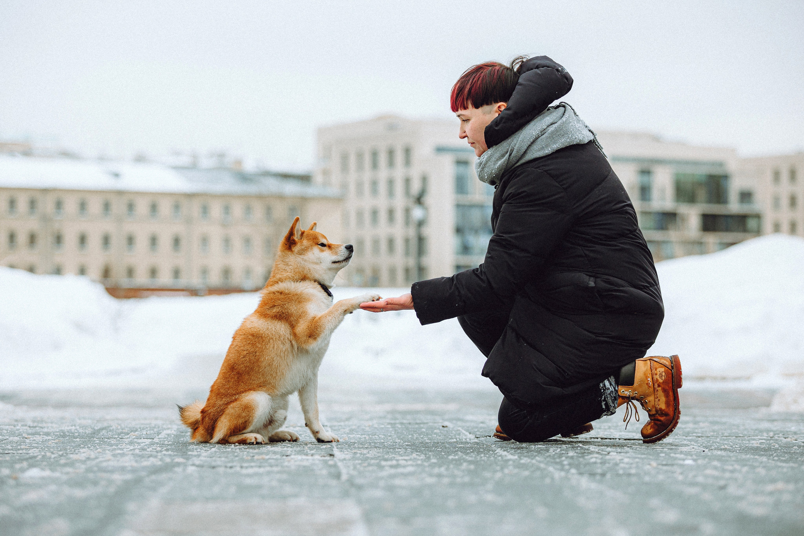 Настя и Ронин