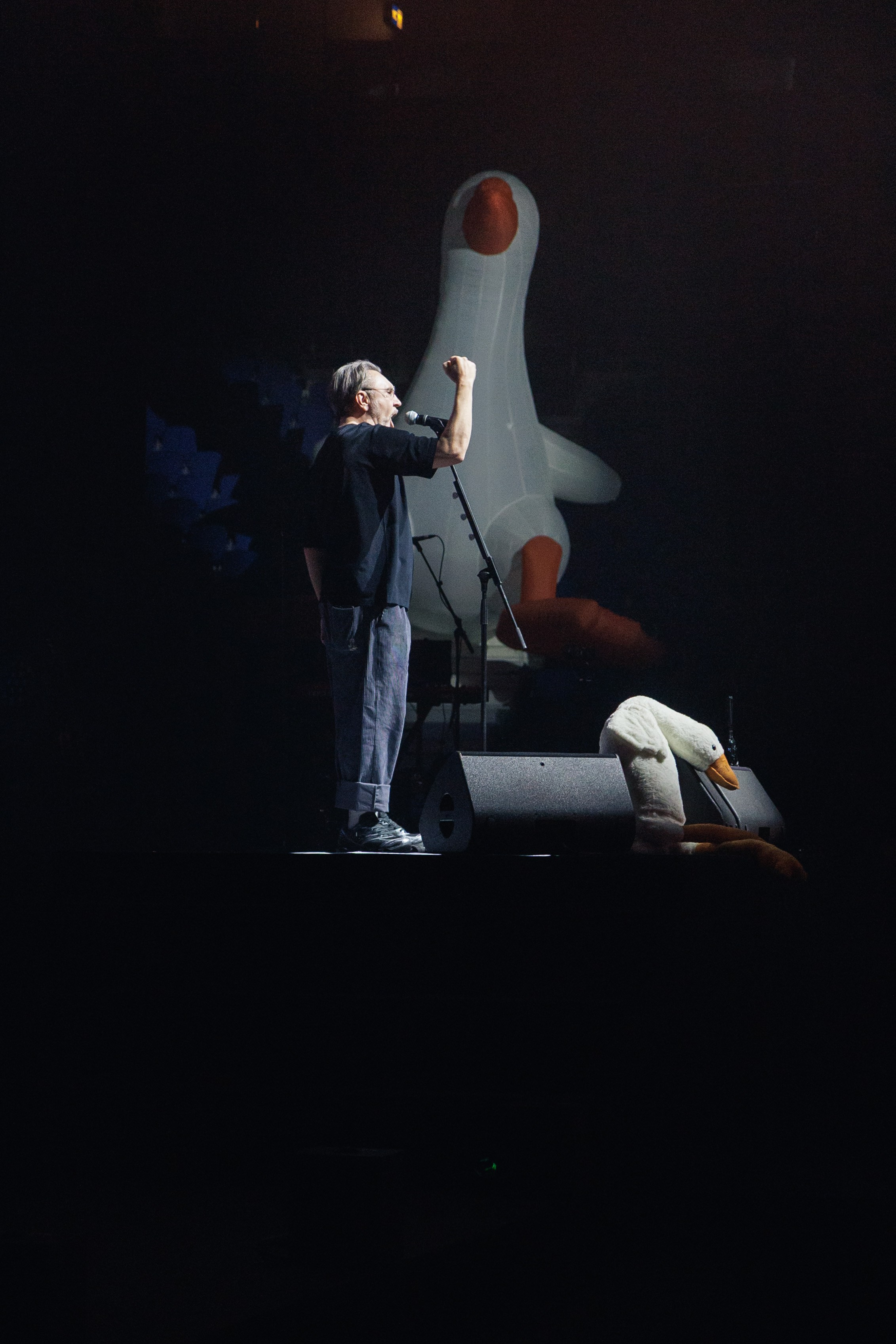 Концерт группы «Ленинград». Ярославль. 2026. Репортажный фотограф. Ярославль. Мелюшин Александр