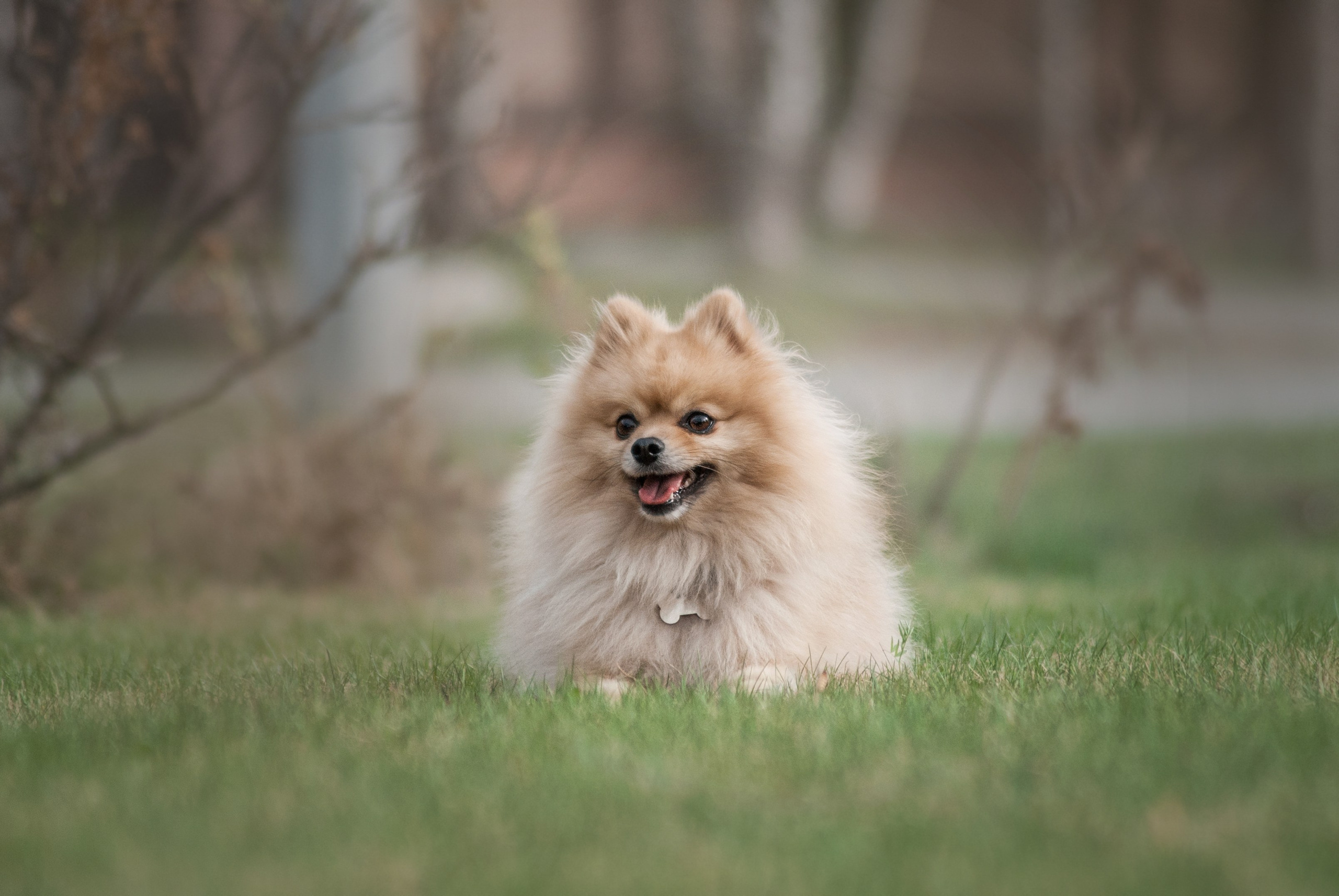 Цефей. Фотограф в Тюмени Лизавета Сапицкая