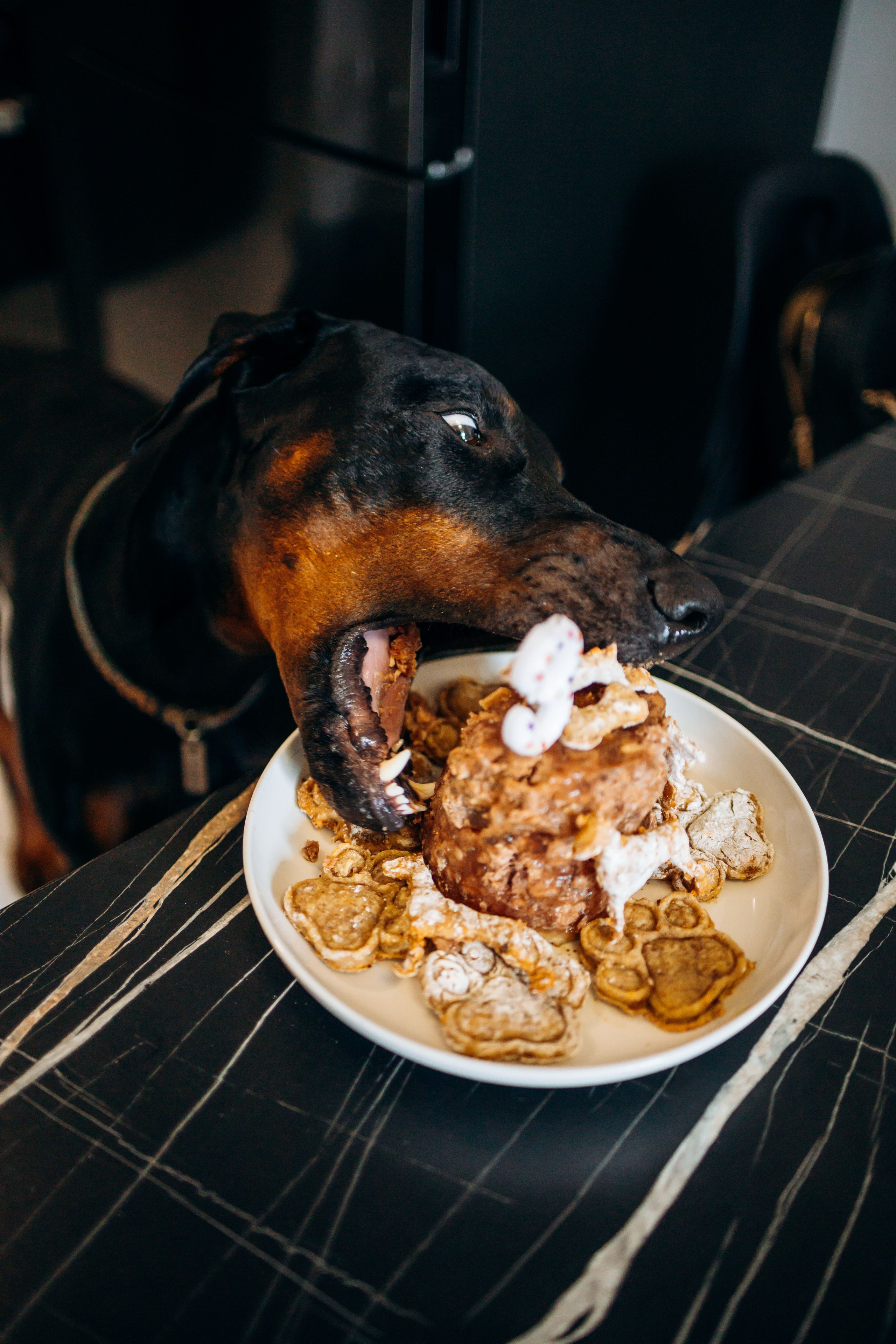 Катя и Конор