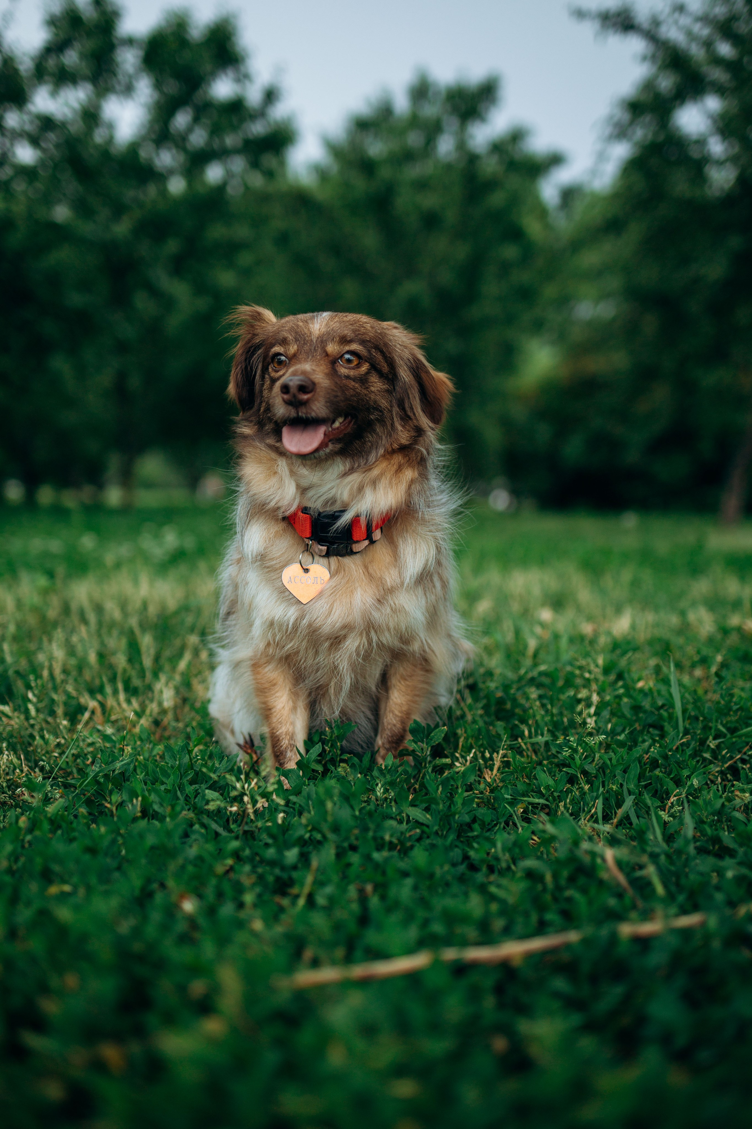 Дарья и Ассоль