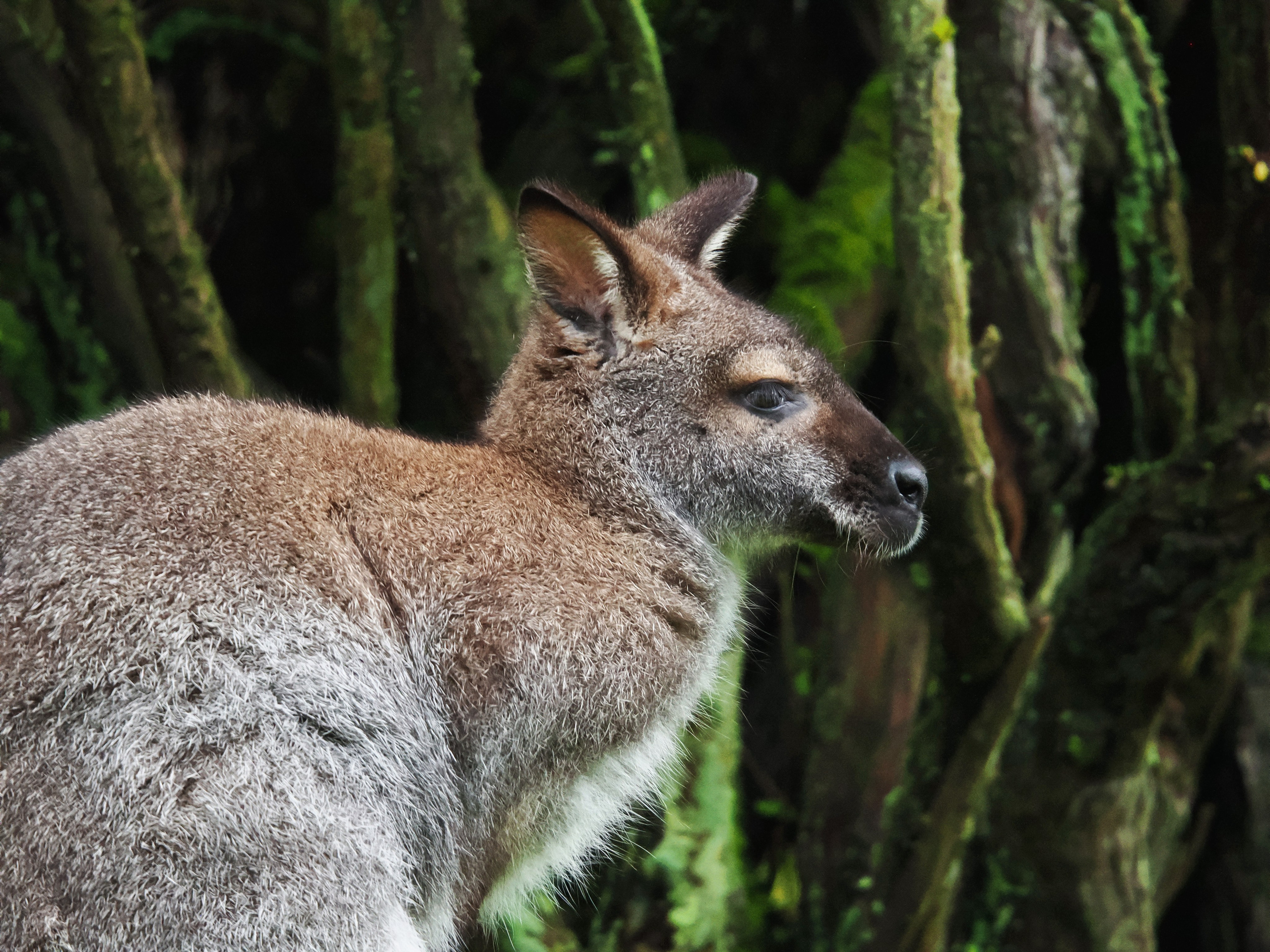 Коммерческая цветокоррекция