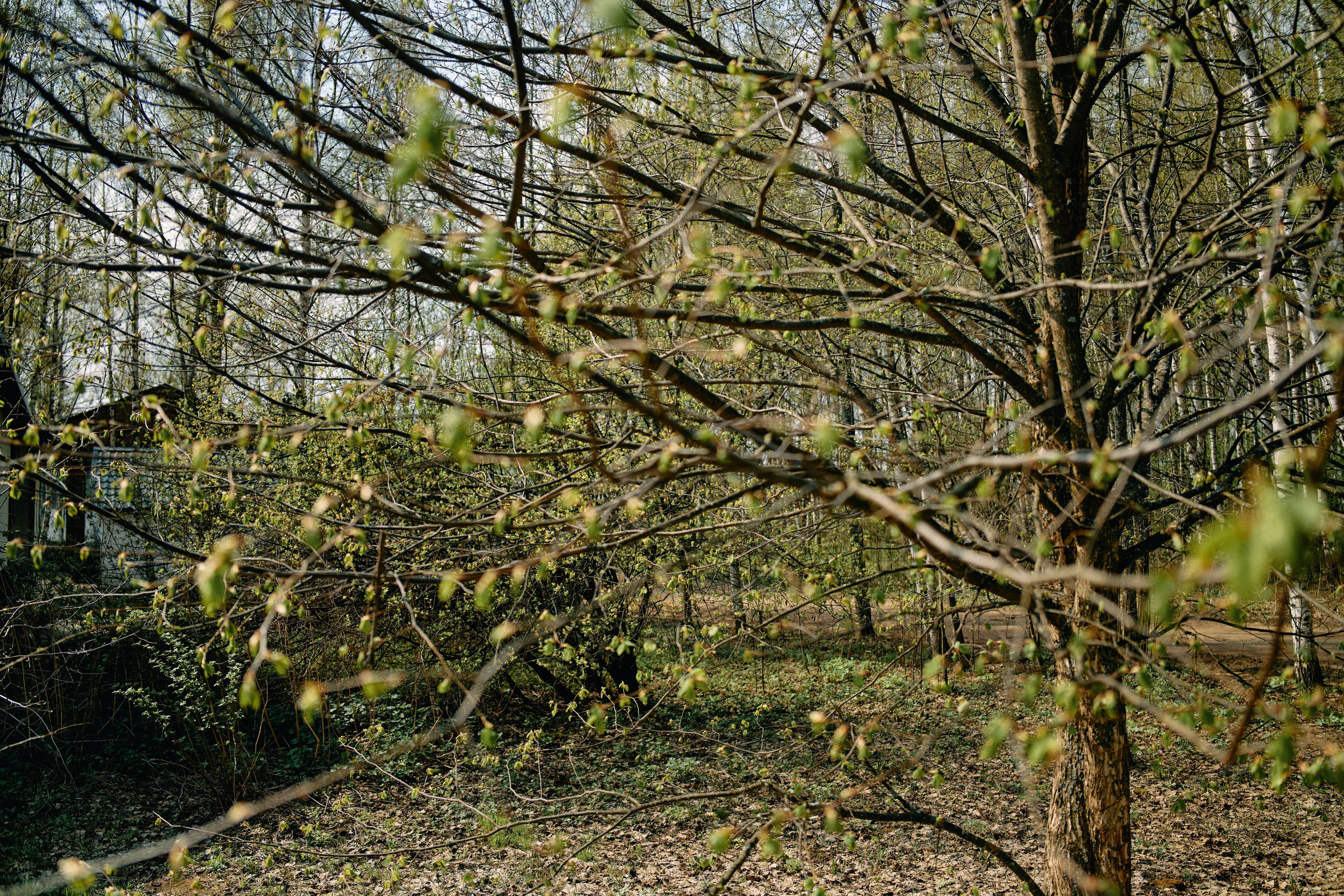 Бутик-отель Поле летом. Профессиональный Фотограф во Владимире, в Москве и в Суздале — Полина Романычева