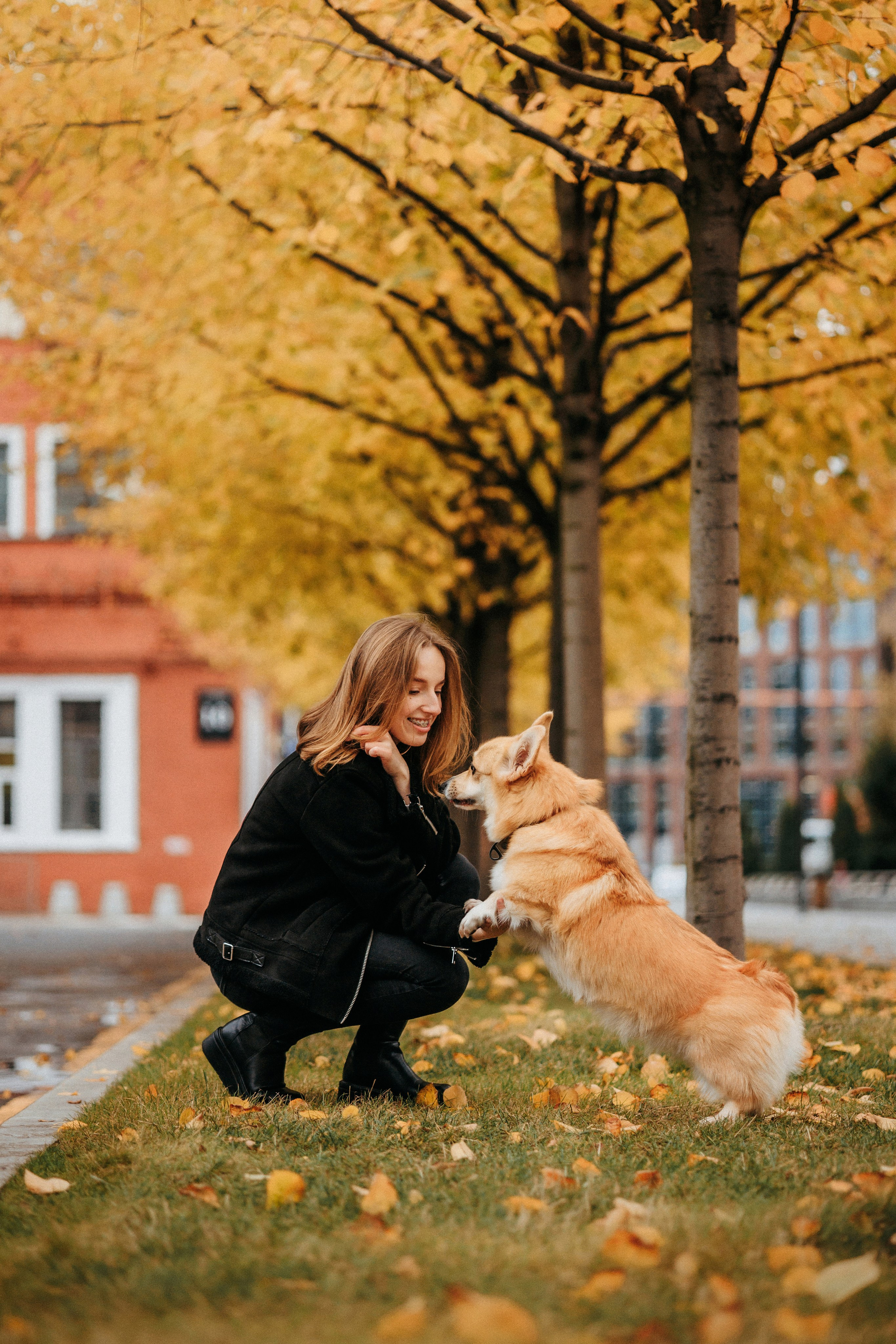 Вера, Саша и Муна. Фотограф-анималист Елена Радченко, Москва